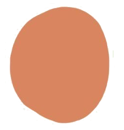 Orange Circle