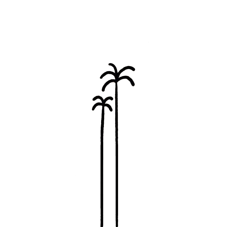 Silhouette of three tall palm trees against a dark night sky with stars.