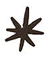 Star-shaped object with multiple pointed tips