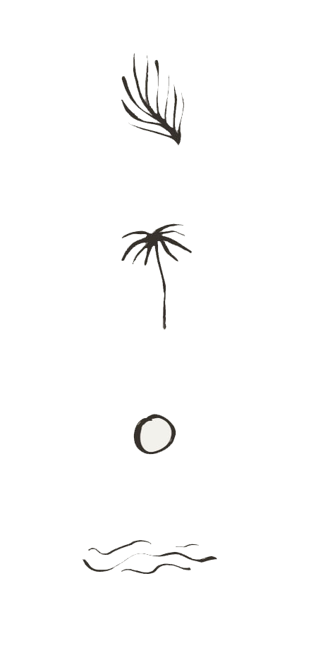 Minimalist line drawing of fireworks, a flower, a ball, and water waves.
