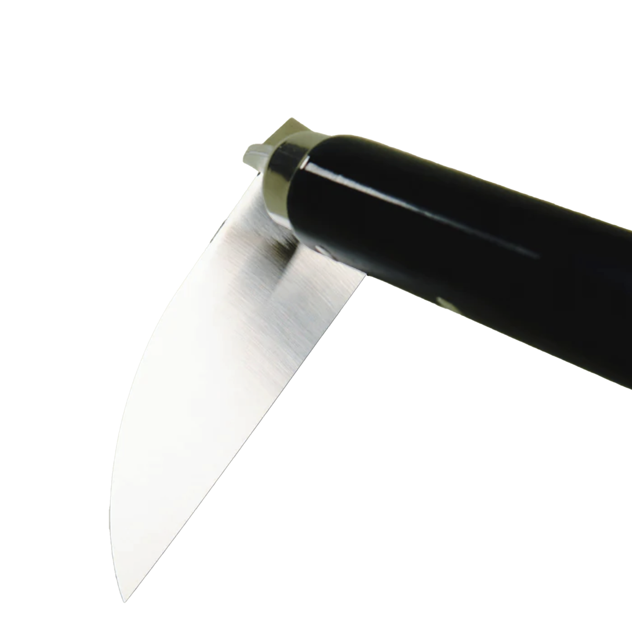 498 (2).png