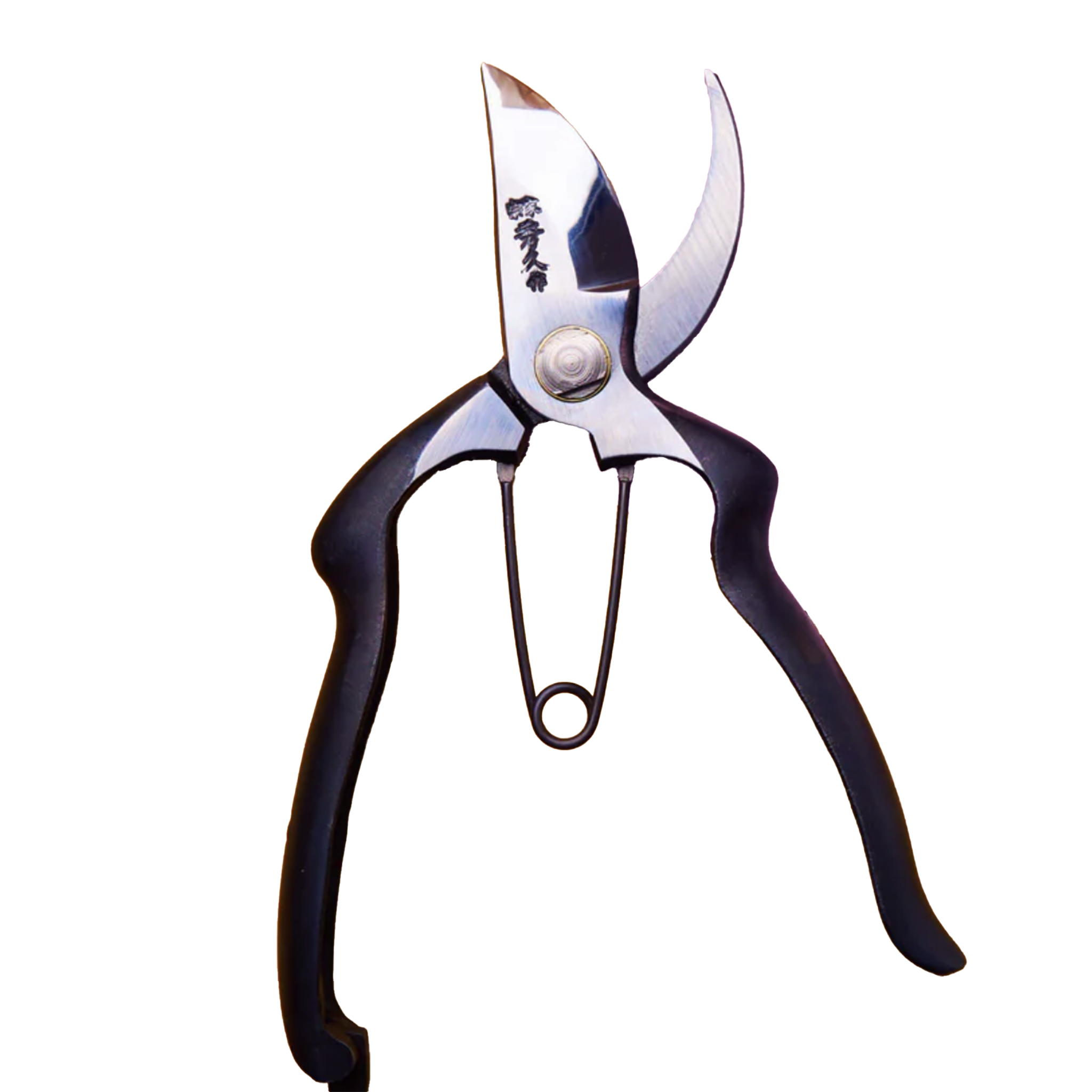 500 (2).png