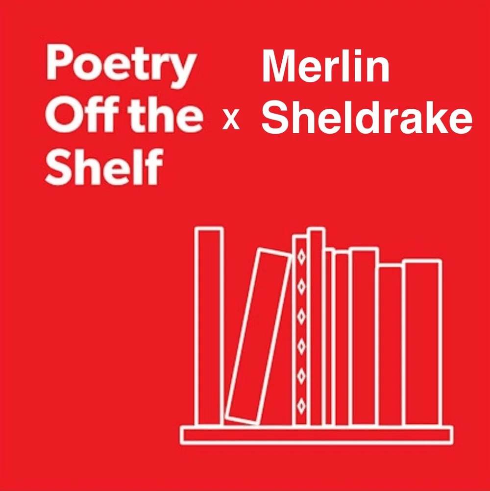 About Merlin — Merlin Sheldrake
