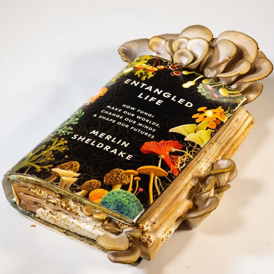 Entangled Life in the Press — Merlin Sheldrake