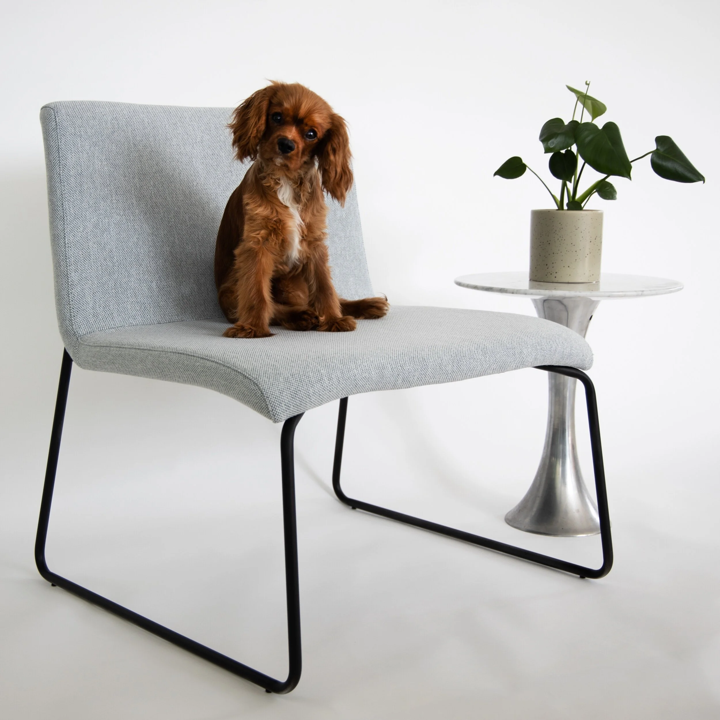 PRAGE FURNITURE 