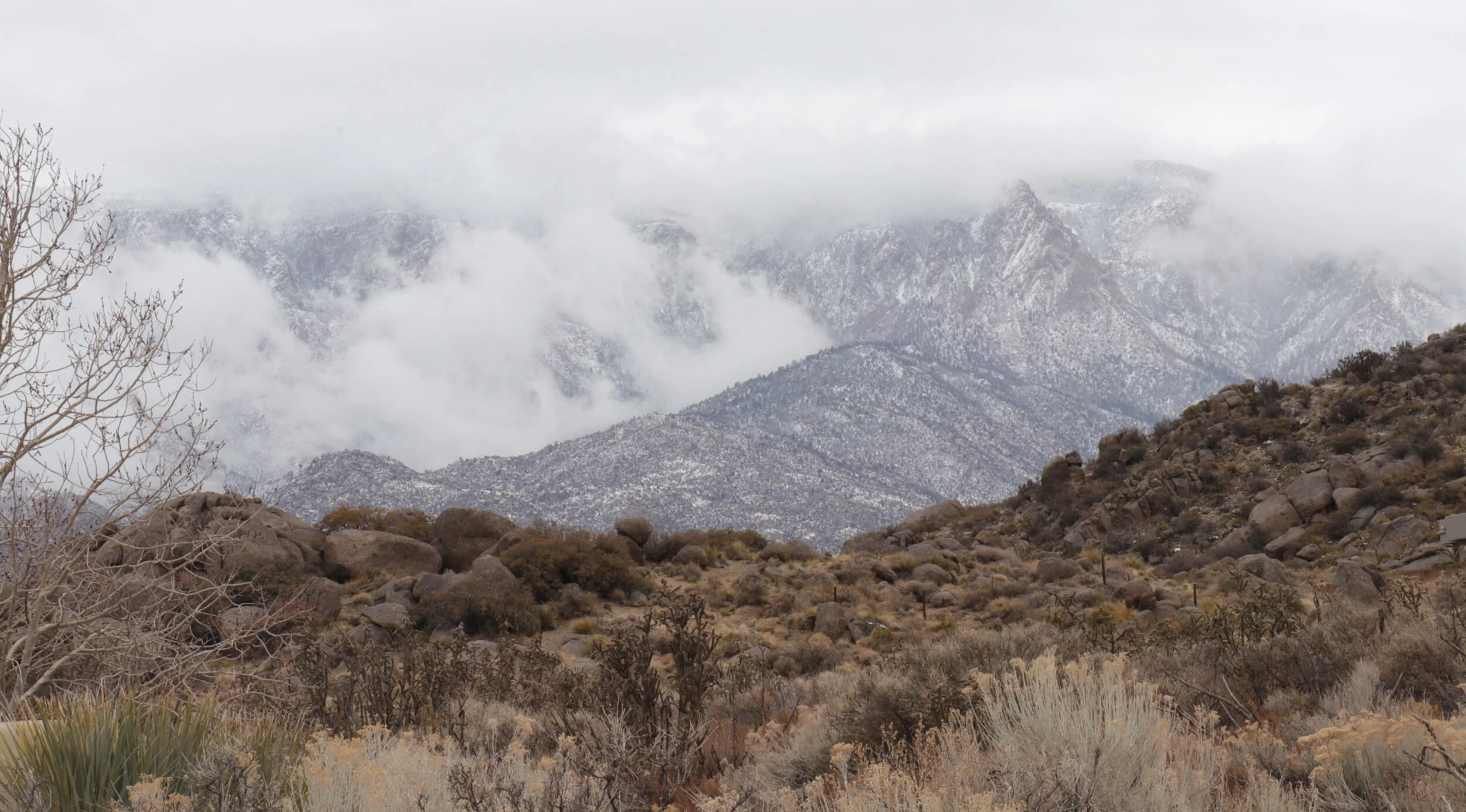 Light Snow Sandias.jpg