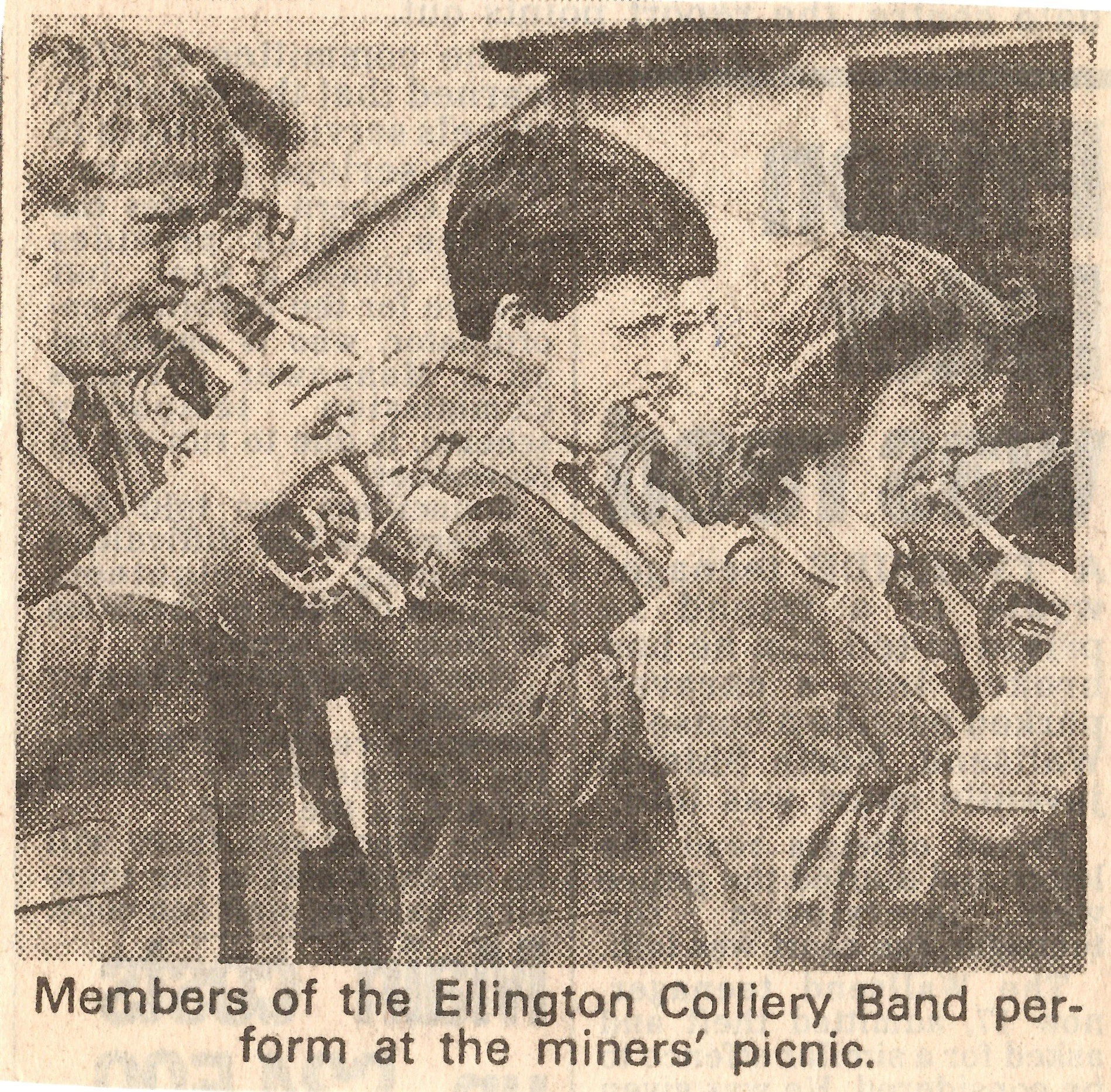 Performing at the picnic