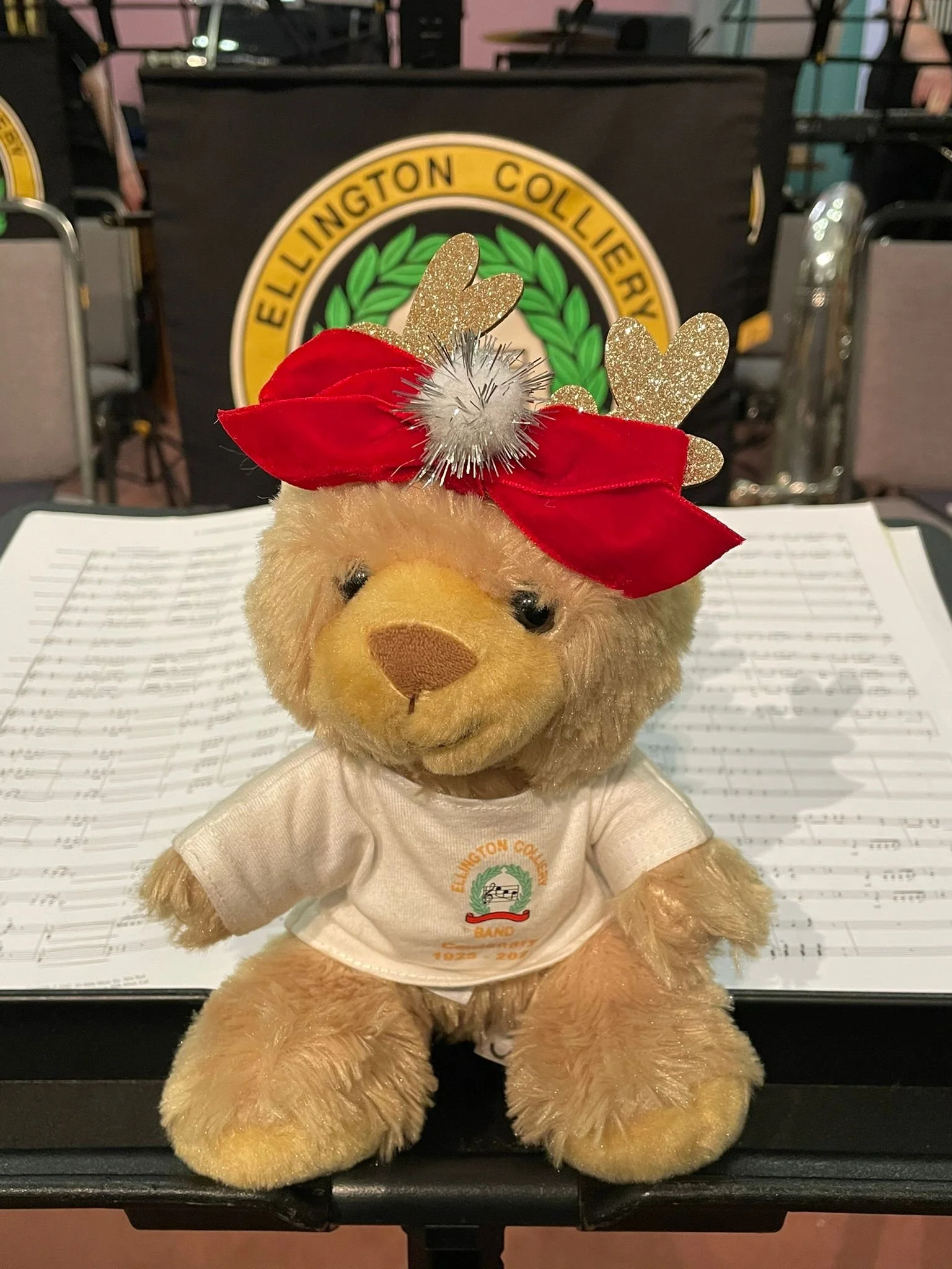 Waiting for the Rotary Club concert to start at Morpeth Methodist Church.