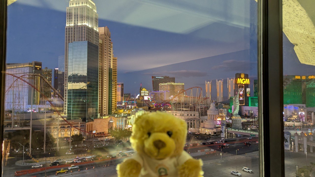 Ellie enjoying the view of Las Vegas