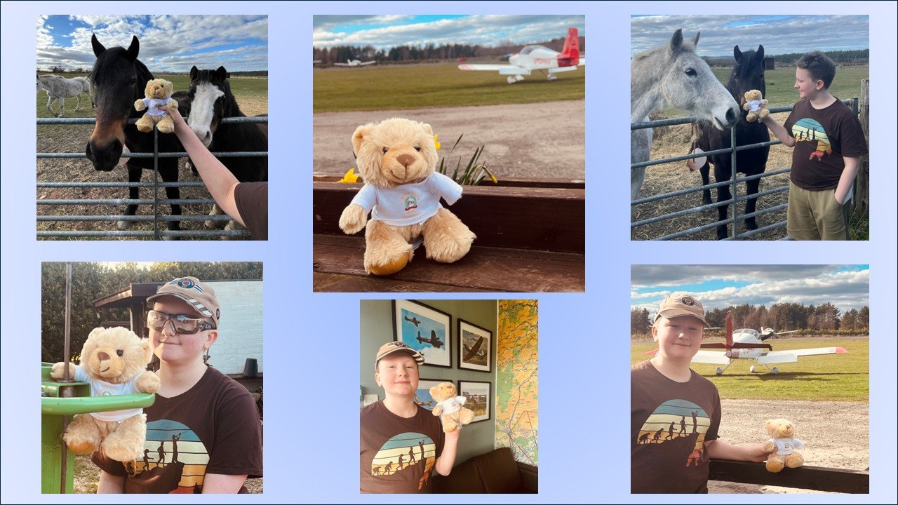 Taking Oscar to Eshott Airfield via a visit to the ponies.