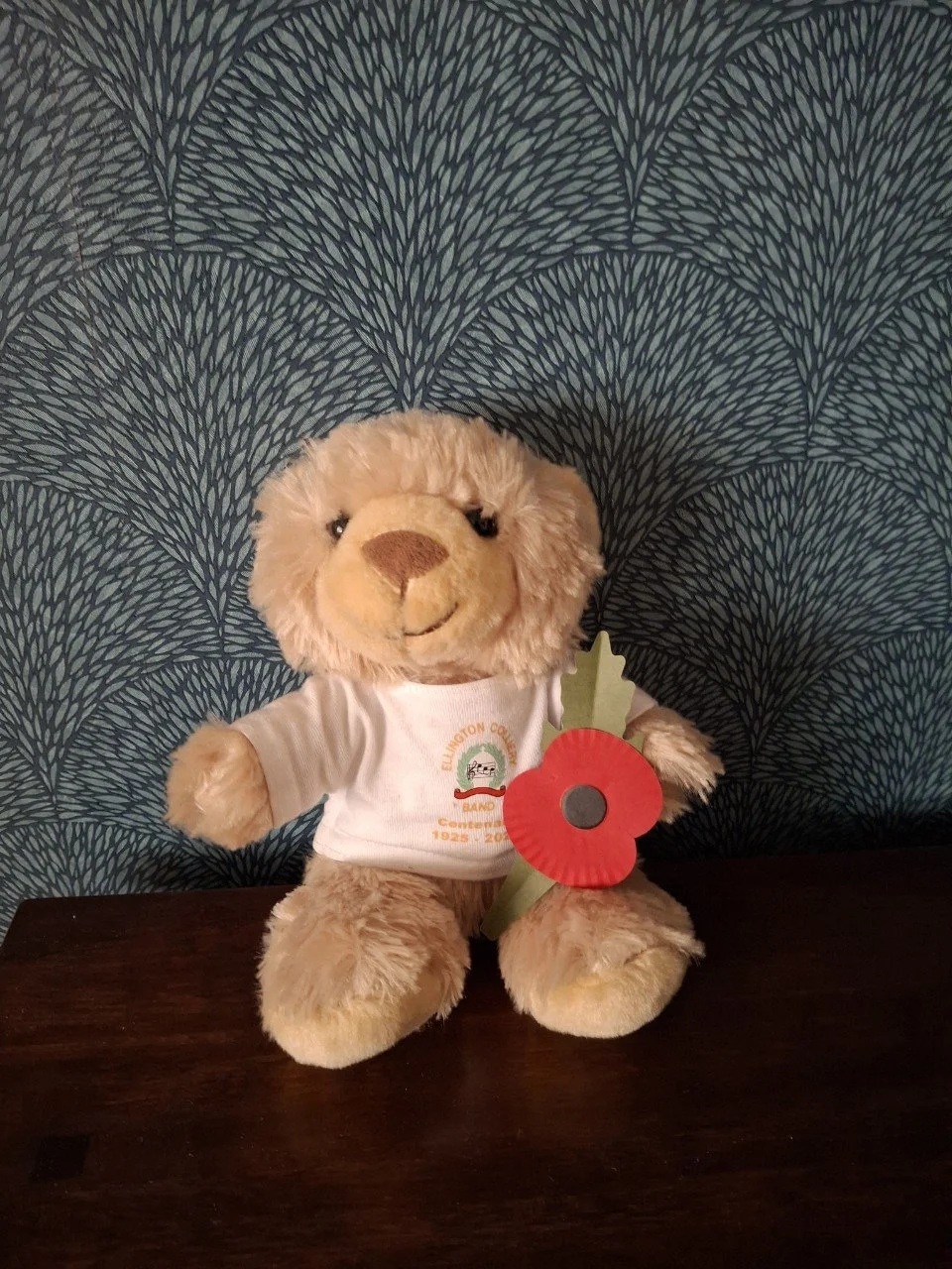 Ellie is ready to take part in Remembrance Sunday