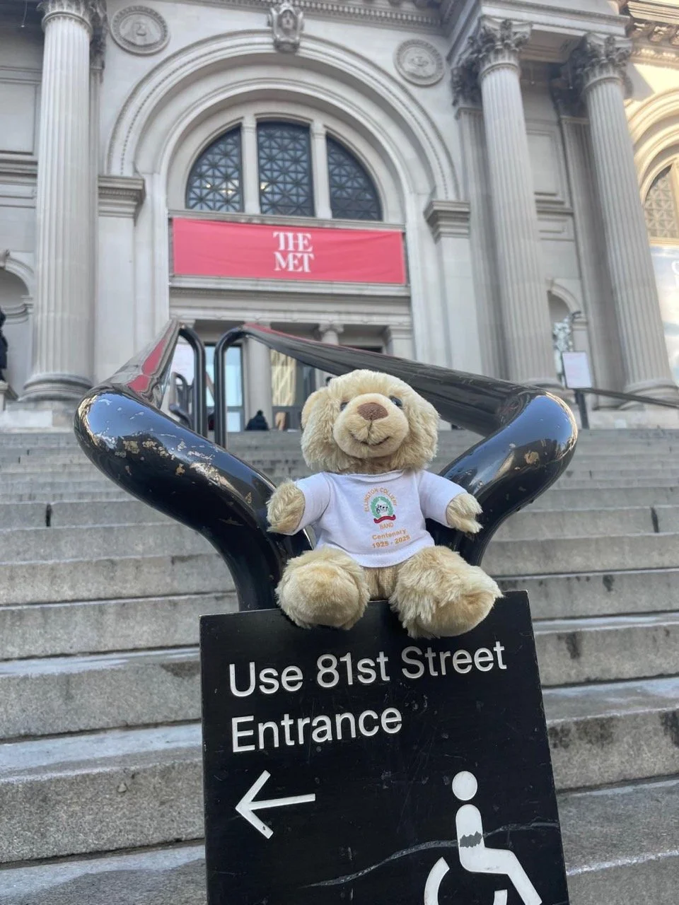 Ready to explore the MET museum