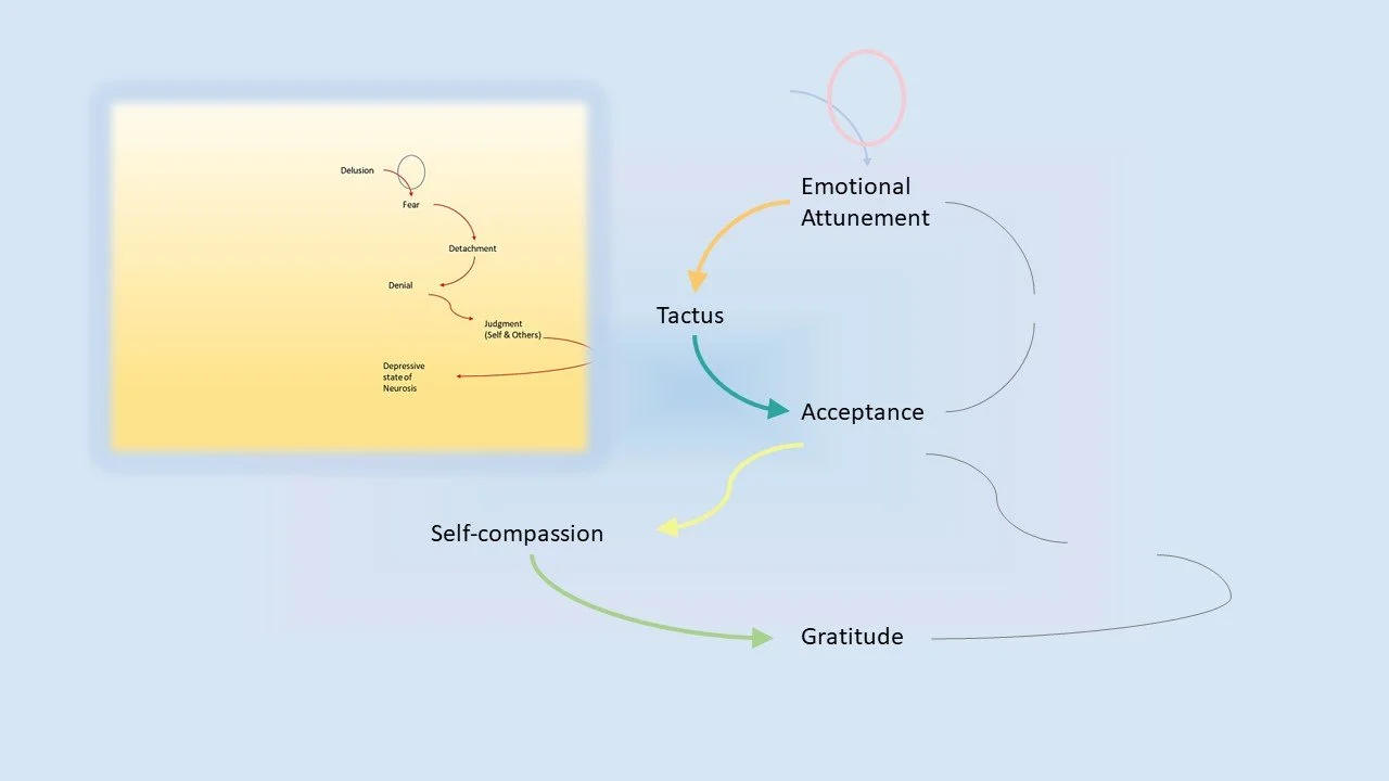 Flowchart illustrating emotional processing with steps: emotional attunement, tacitus, acceptance, self-compassion, and gratitude. Includes a subsection on the cycle of delusion, fear, detachment, denial, judgment, and depressive states.