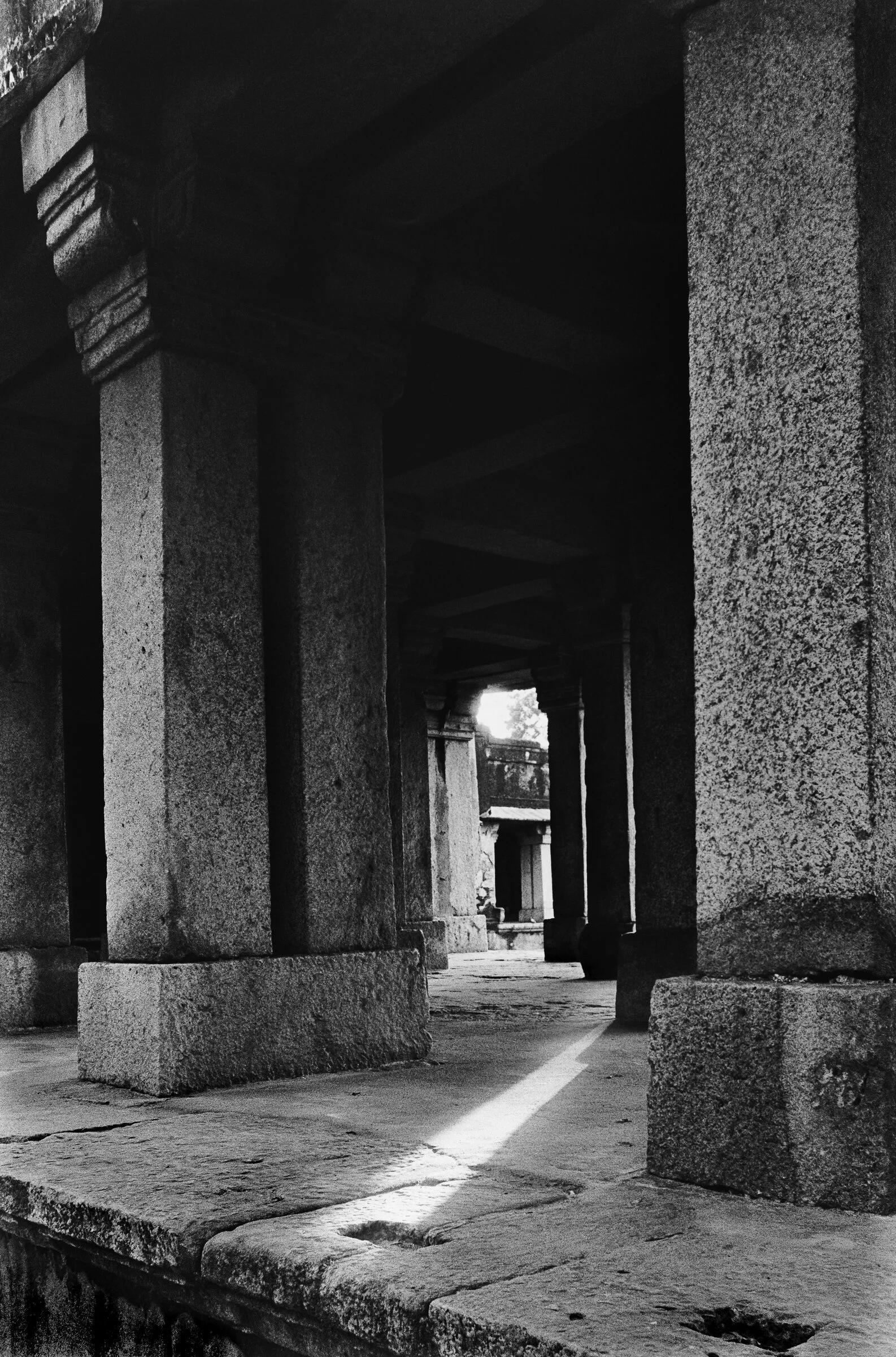 seek and 16-II...jpg