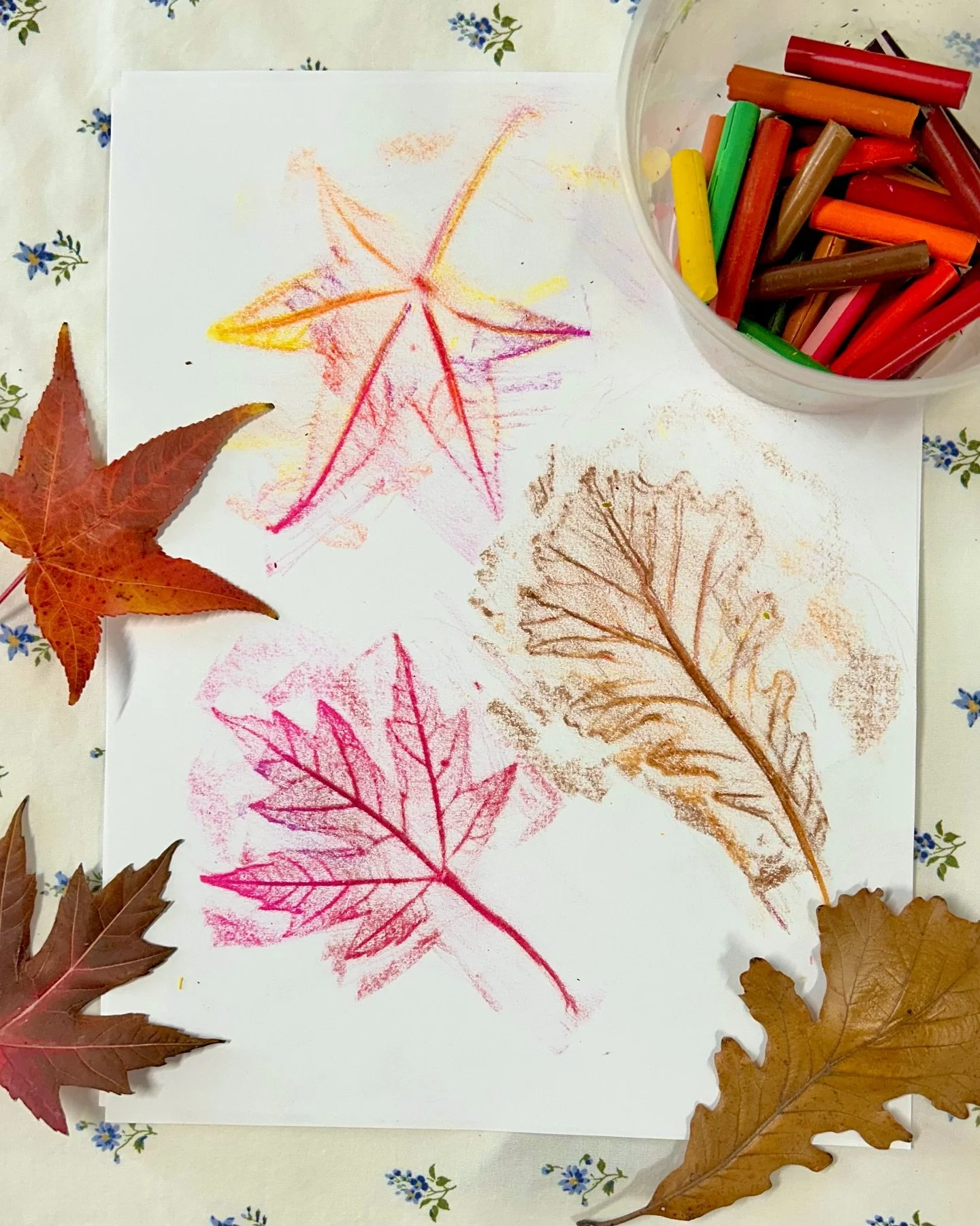 A fun and easy Fall craft! Collect and press some leaves flat. Peel crayons and break in smaller pieces so you can rub with the sides and target specific areas areas of the leaf. Put the leaves under some paper and rub with crayons! Anyone else do th