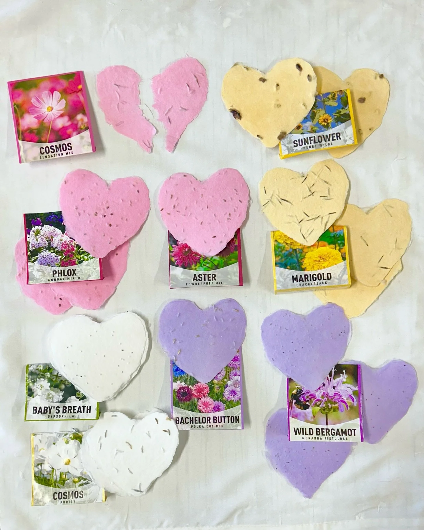 Love that grows 💛🌻
Seed paper hearts perfect for Valentine&rsquo;s Day! Available online, or in my studio if you want to come over and paw through all the exclusive papers I have on hand 🩷💚💜✨
