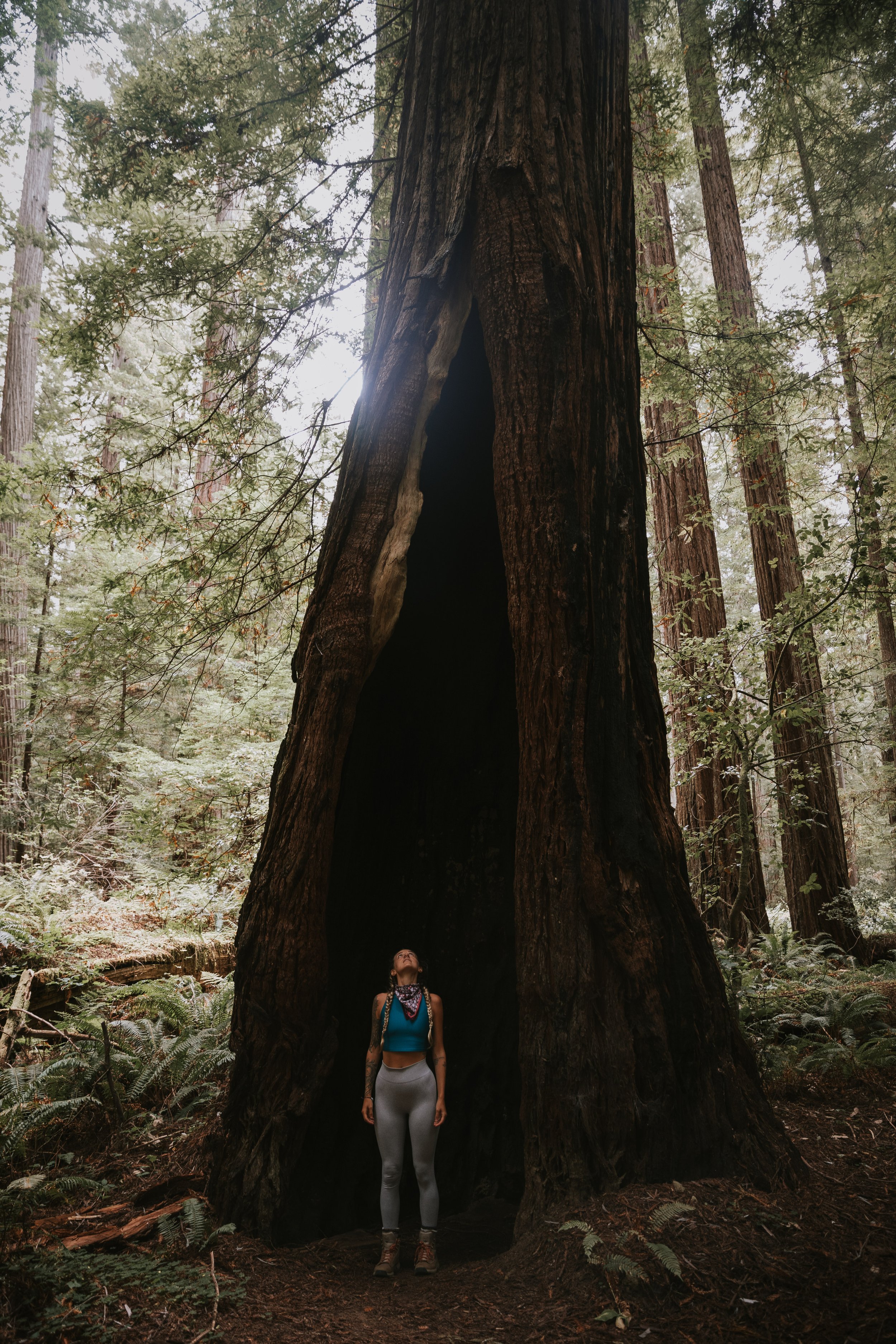 Redwoods Roadtrip 2020 Photos by Lindsey O-2390.jpg
