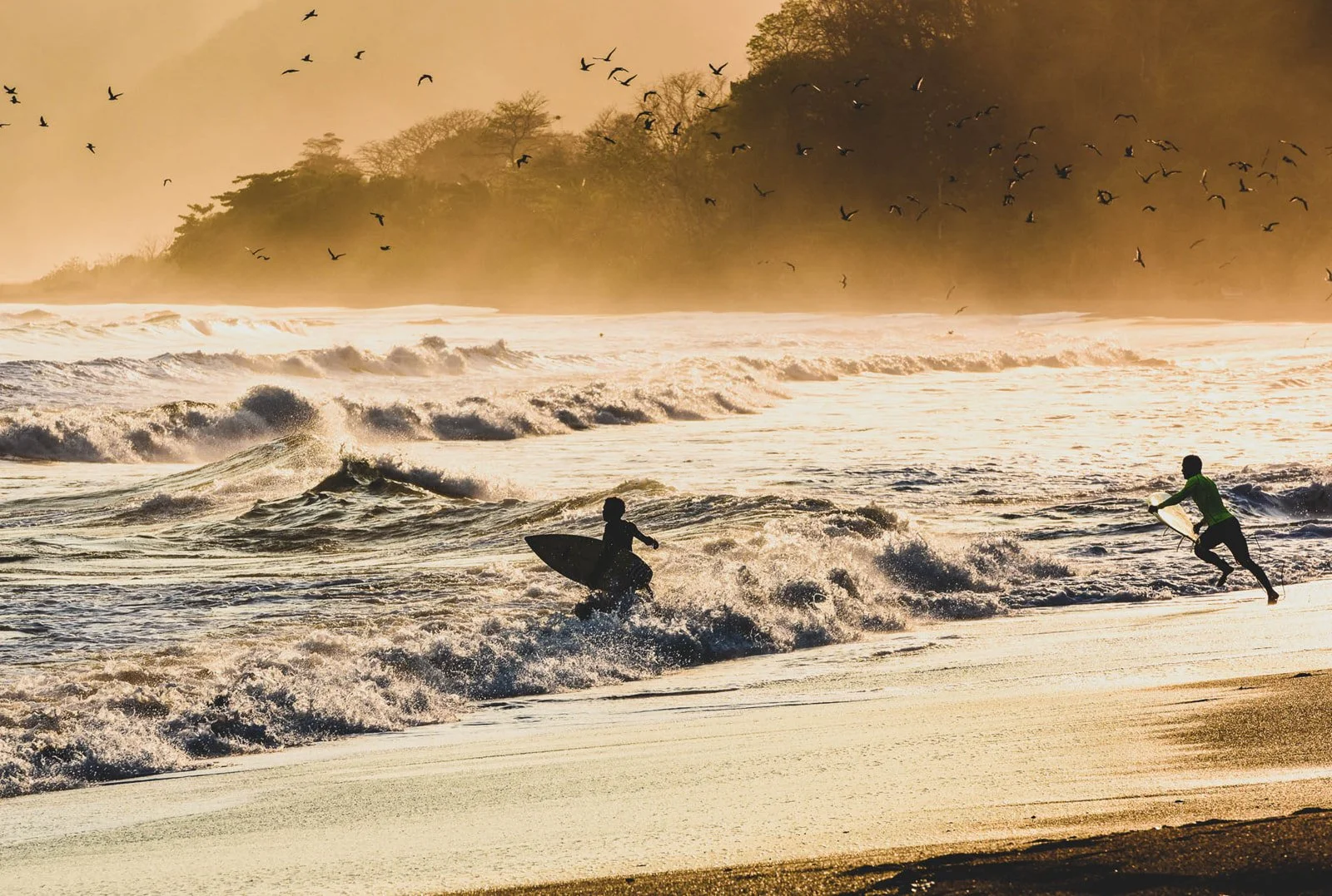 SURF-1_websize.jpg