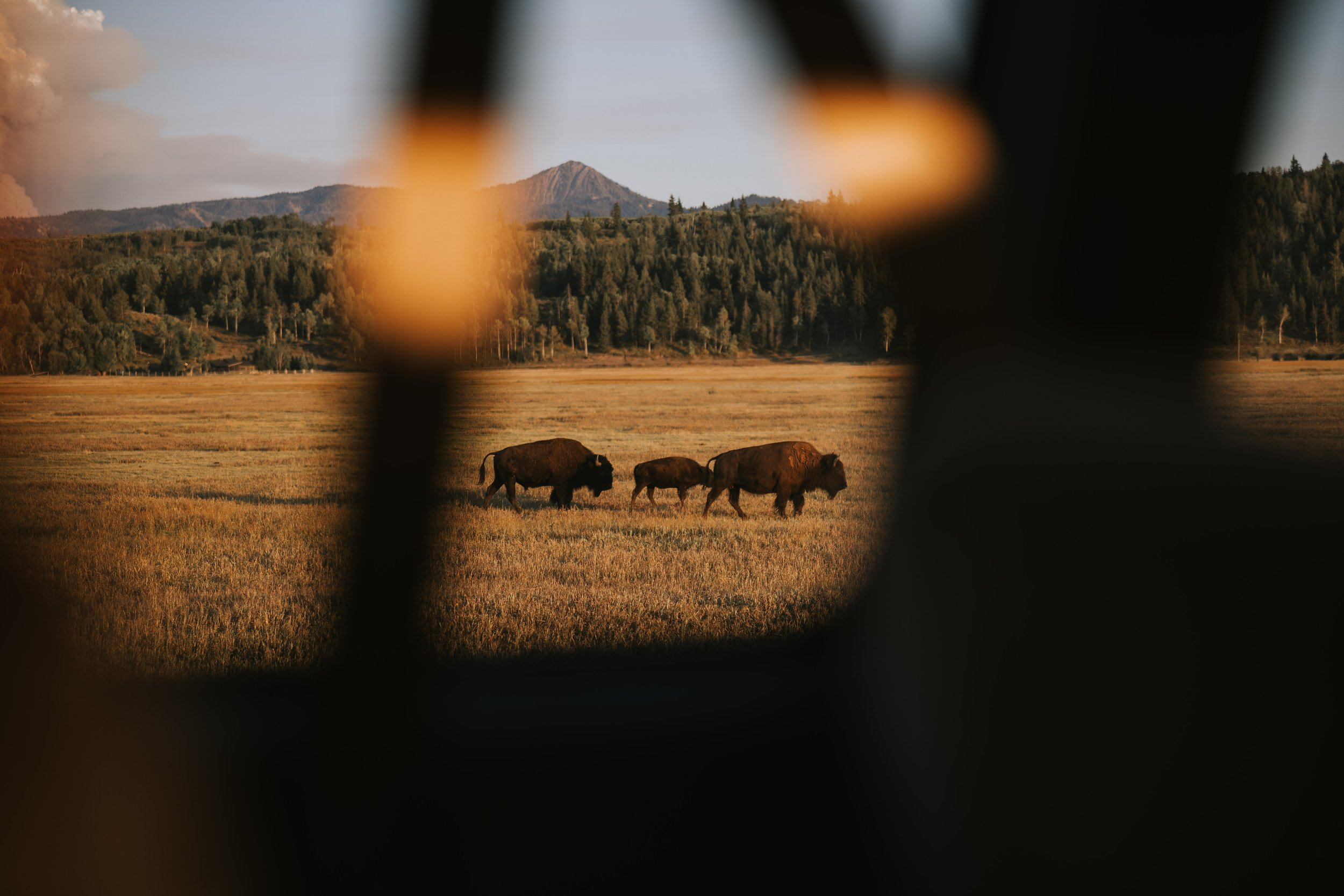 Grand Tetons Yellowstone Retreat Photos by Lindsey O-5297.jpg