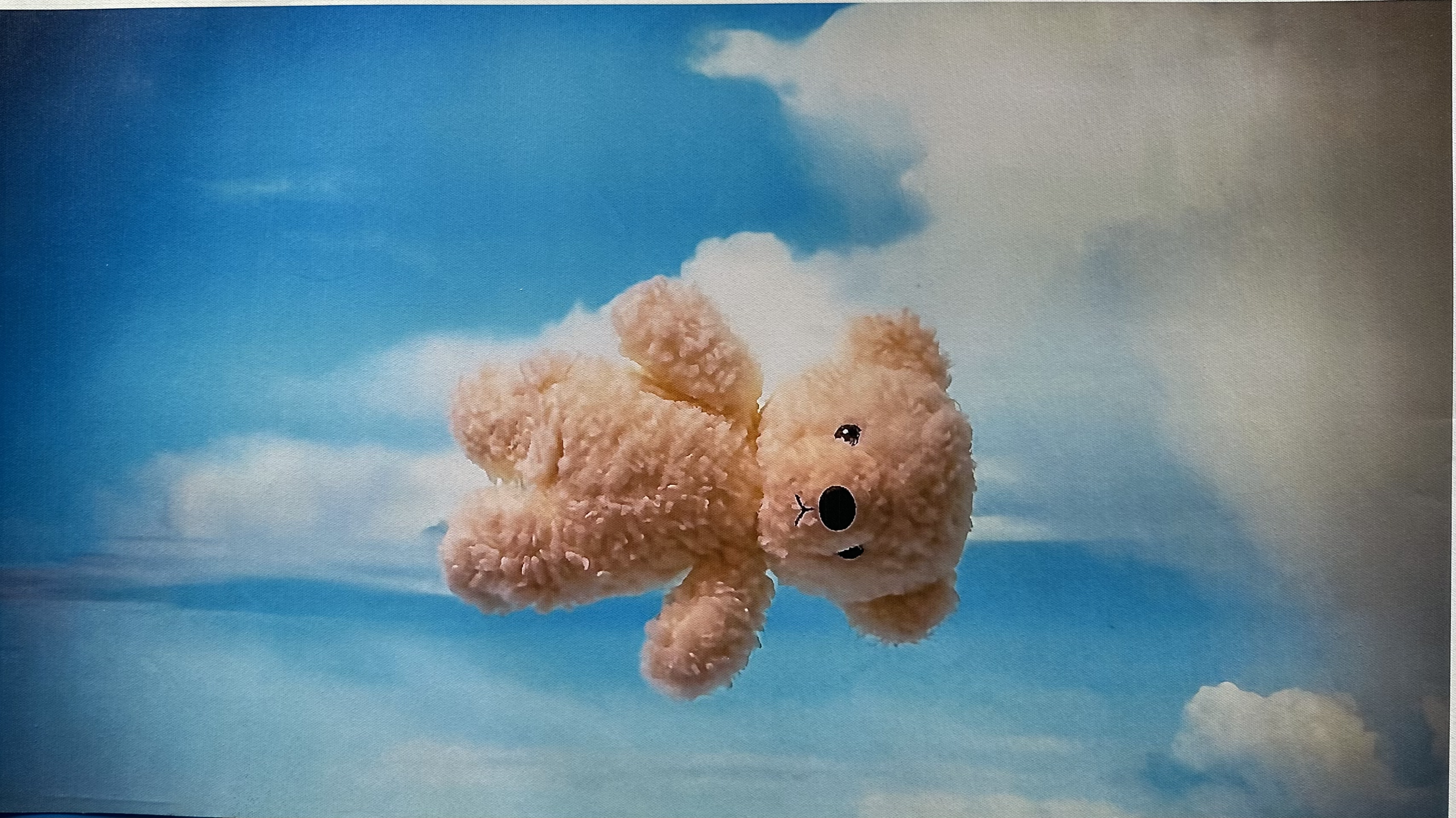 Flying Teddy Print
