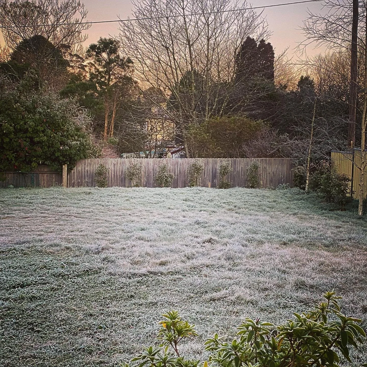 Jack&rsquo;s back! #frosty #winter #morning #livebetterloveharder #bluemountains #nsw #australia