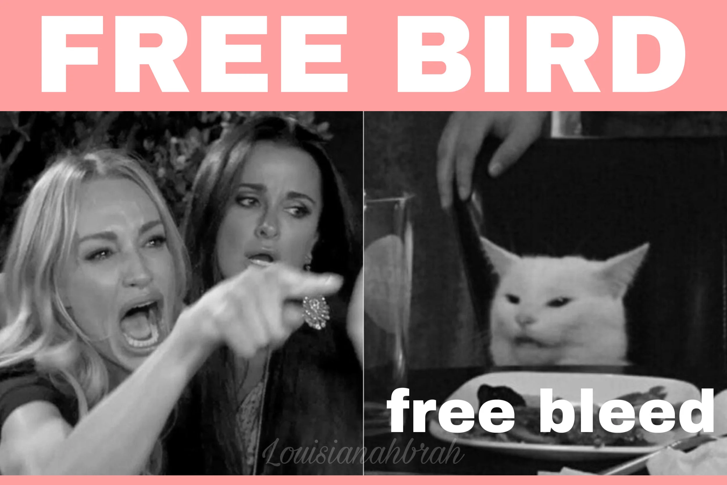 Tampon Tax Bill: TIME TO SHINE