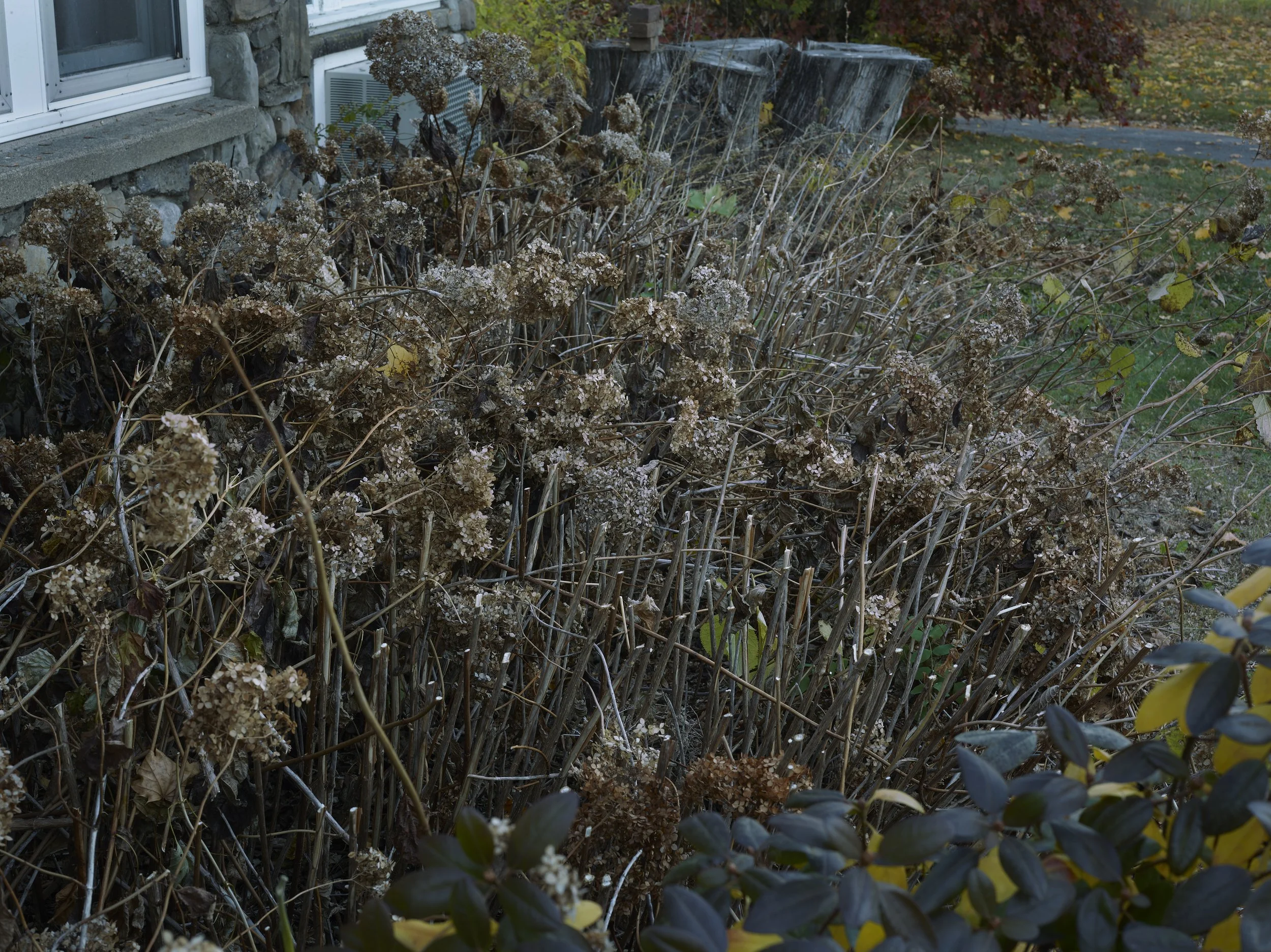 CF063910, Oct 26 2025, Oct 26 2025.jpg