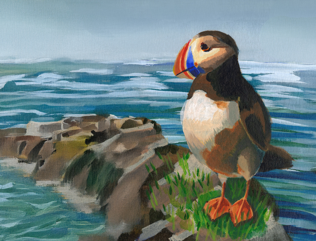 Puffin and sea .PNG