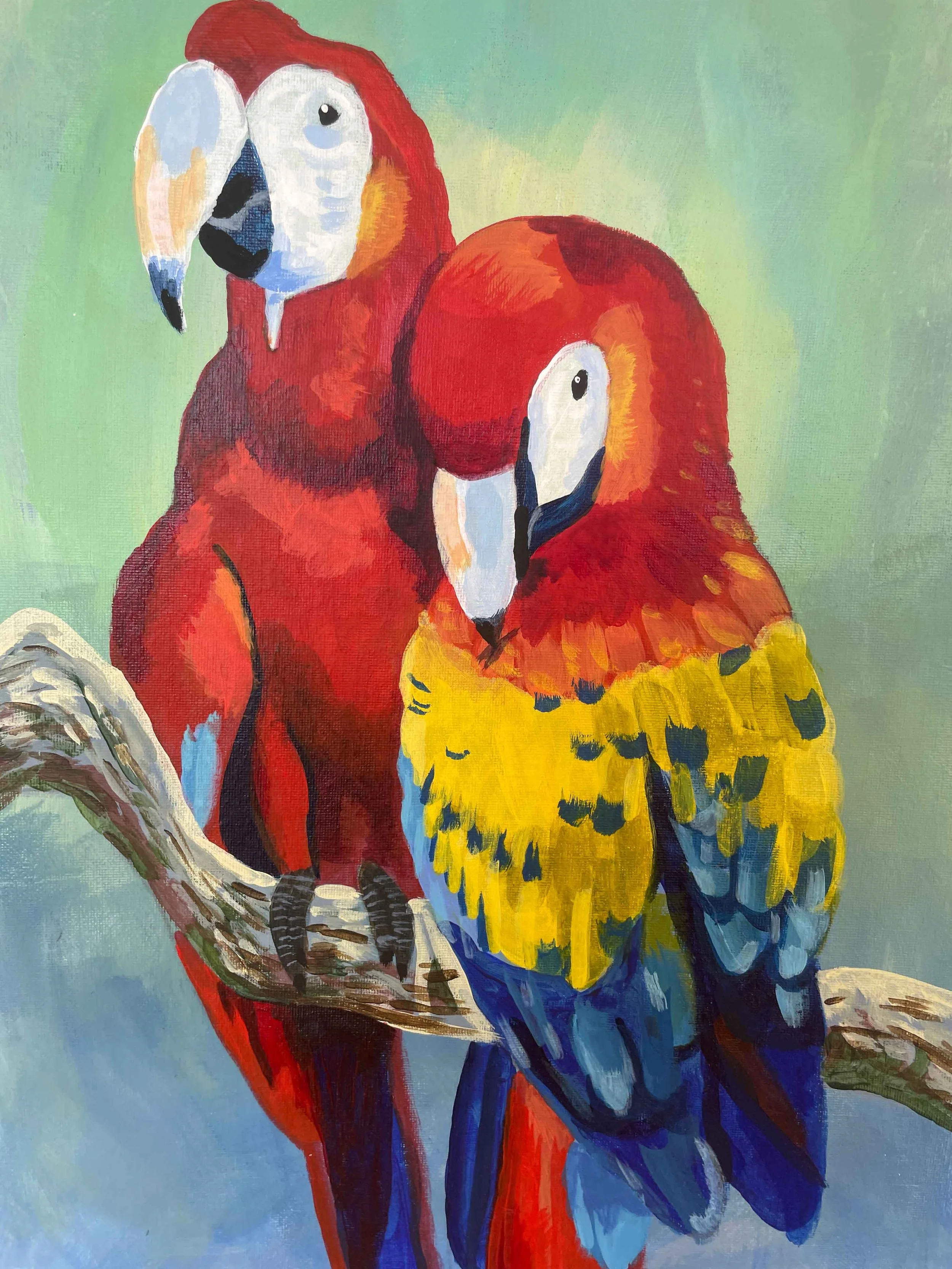 Parrots.jpg