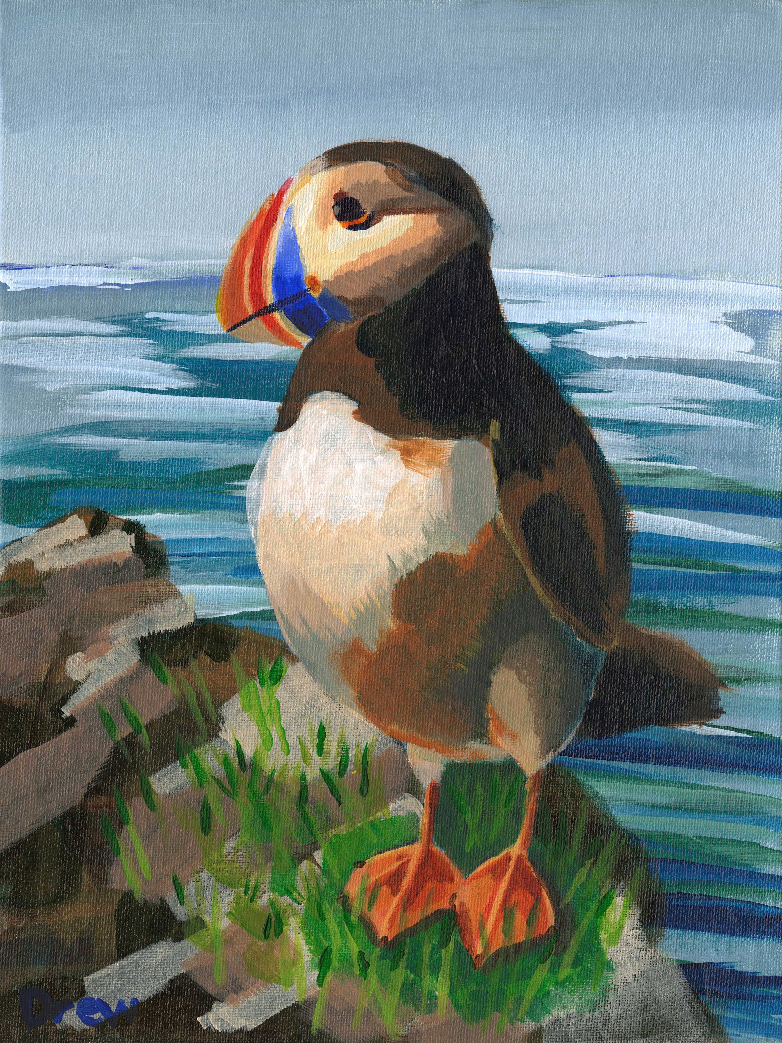 Puffin.jpg