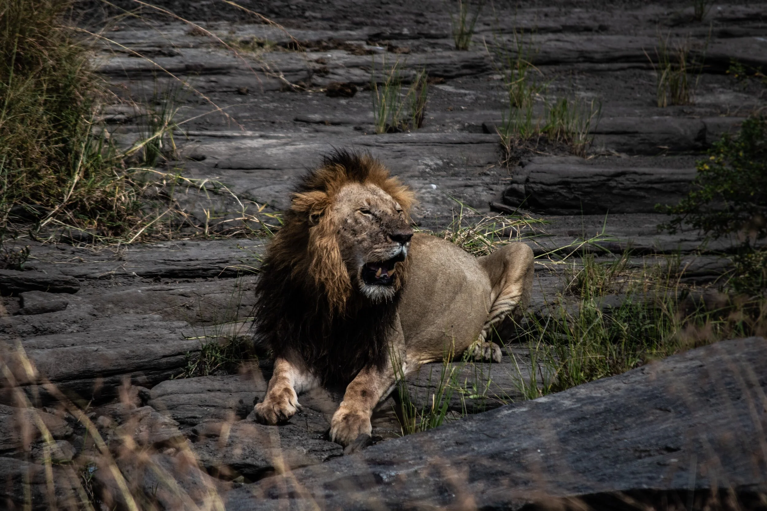 elcarito-BZ5meg-EHpc-unsplash.jpg