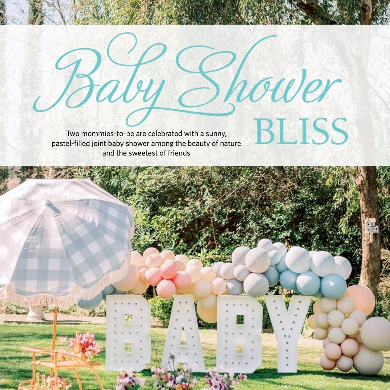 1+E%26C+Parties+%26+Celebrations+2022+-+Baby+Shower+Bliss.jpg