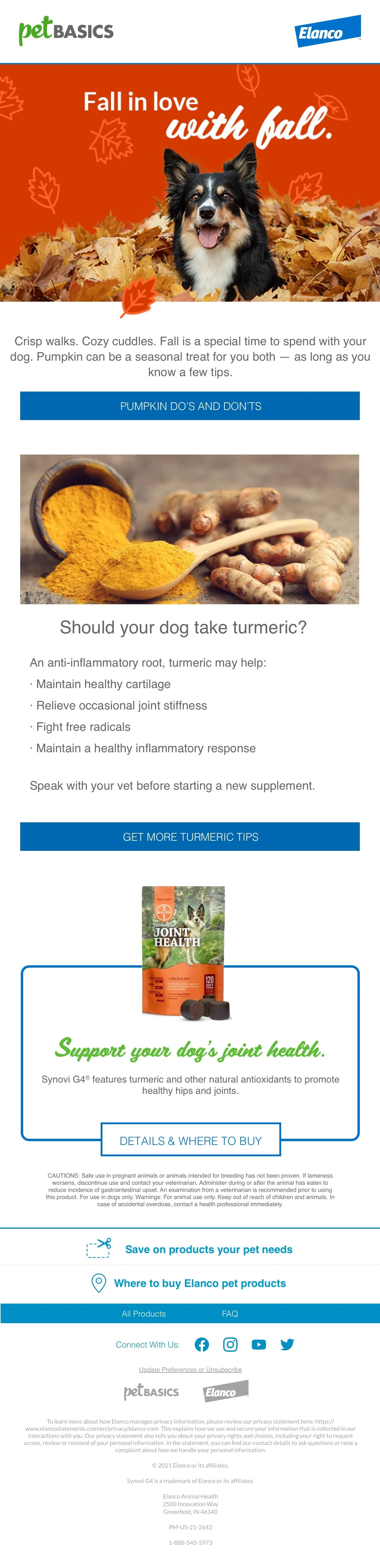 Oct_Dog_Desktop (1).jpg