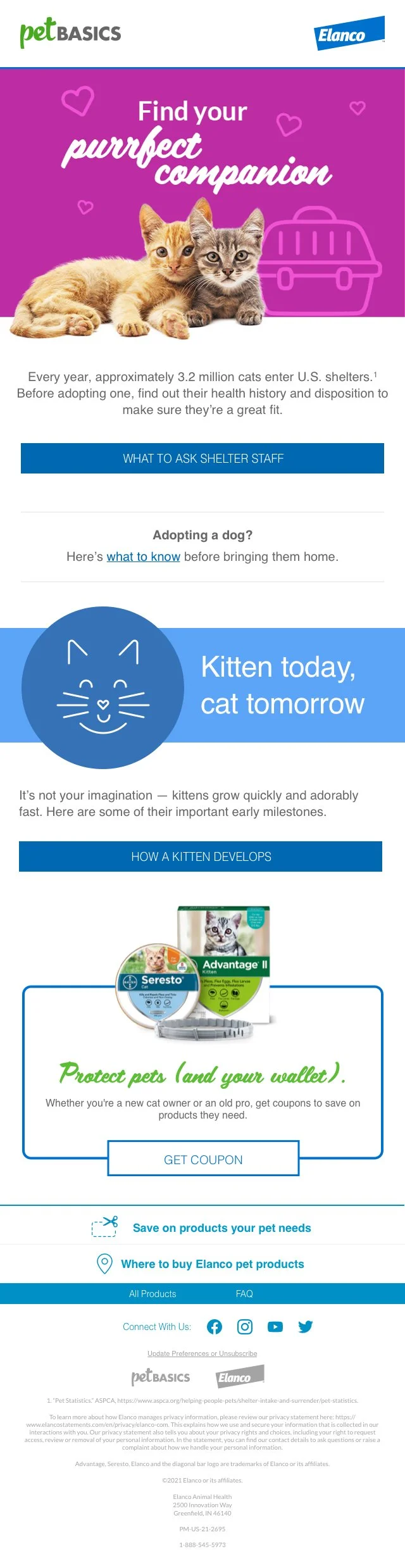 Nov_Cat_Desktop.jpg