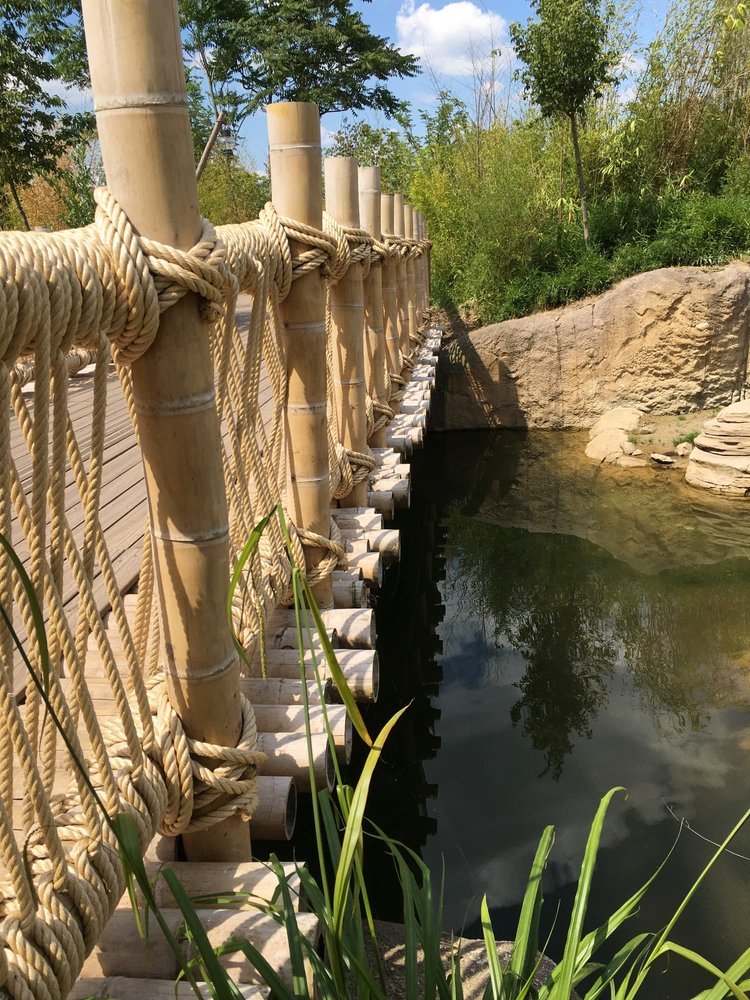 Puente de Bambú Guadua con Cuerda
