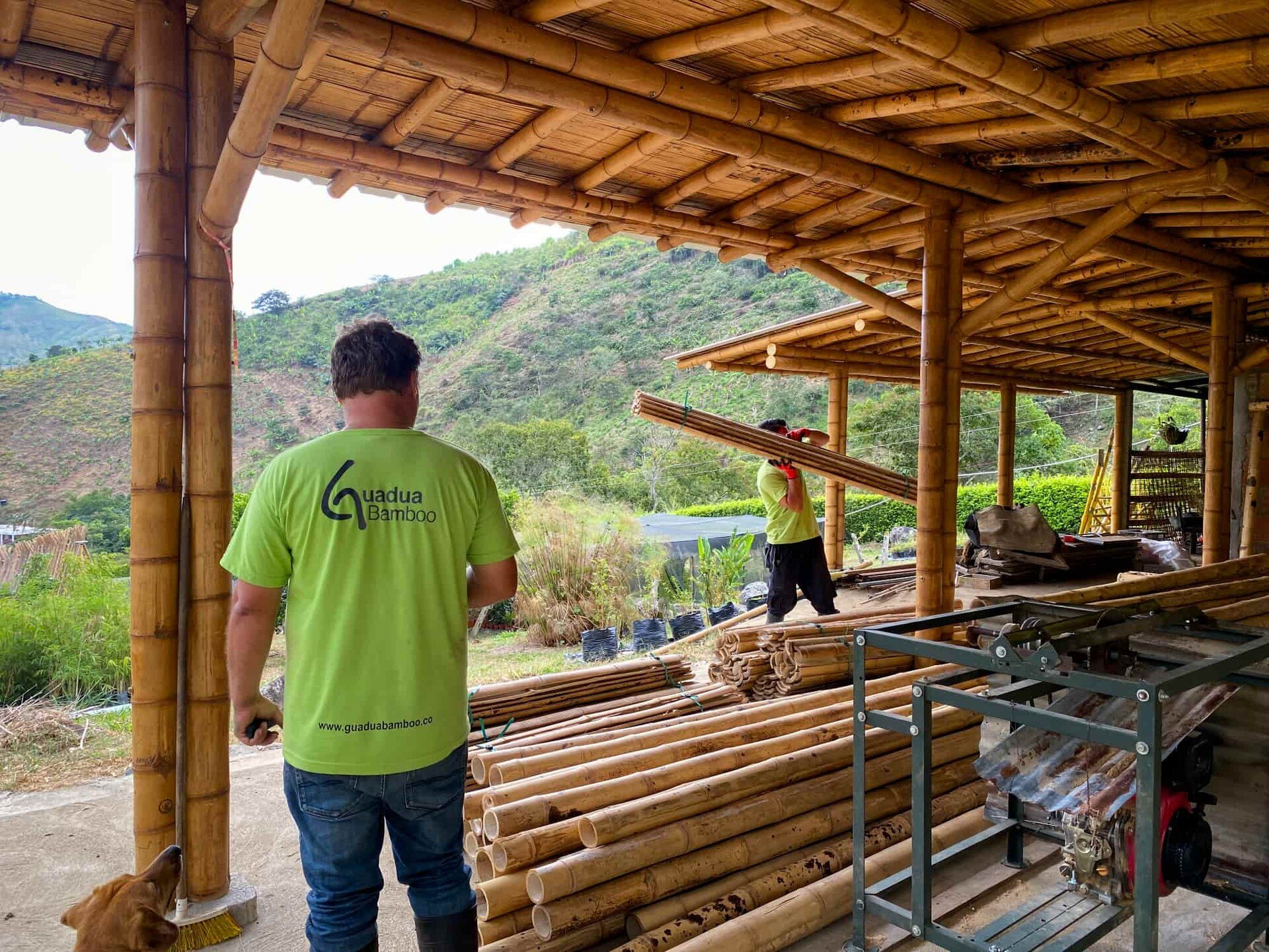 Custom made Guadua Bamboo&reg; Slats for a large project in Medellin, Colombia.
https://www.guaduabamboo.com/bamboo-slats