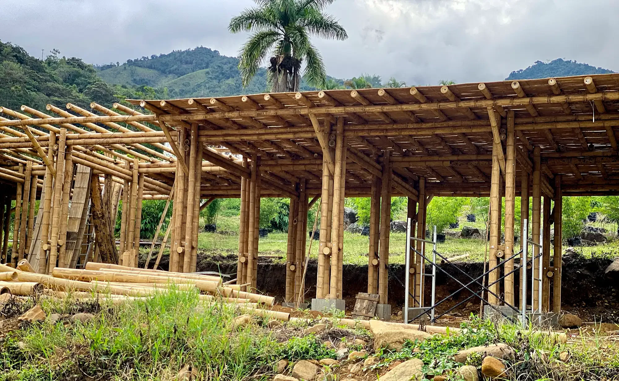 Bodega en Guadua Bambú