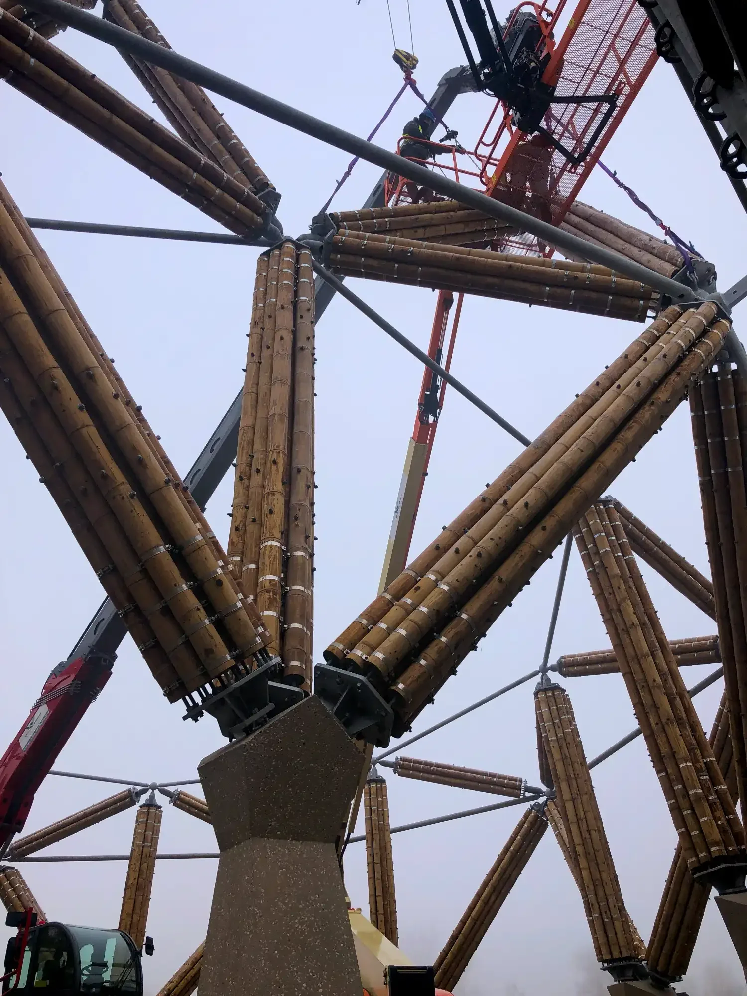 Torre de Bambú Guadua Zoológico de Planckendael Bélgica