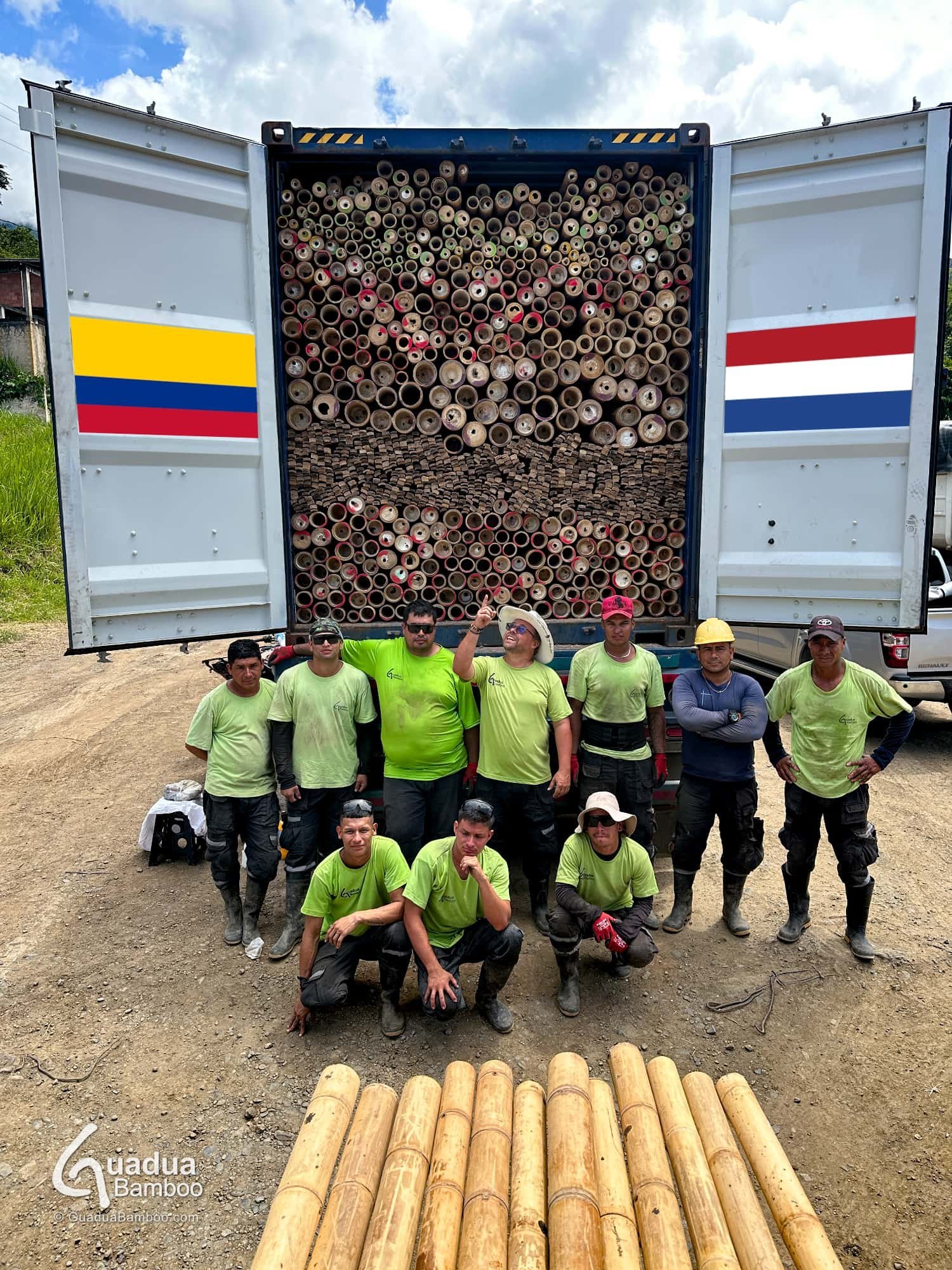 Exportación de Guadua – De Colombia a los Países Bajos