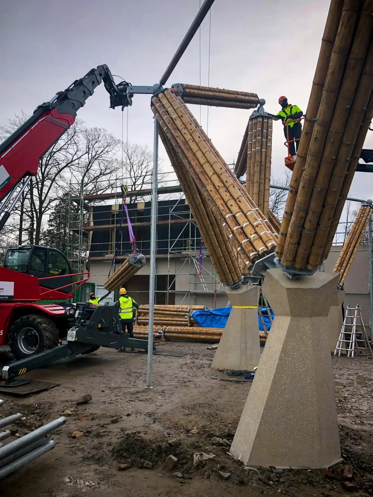 Torre de Bambú Guadua Zoológico de Planckendael Bélgica