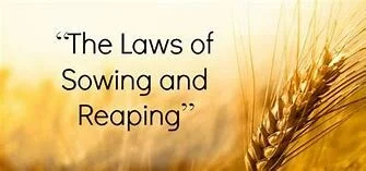 Sowing and Reaping.jpg