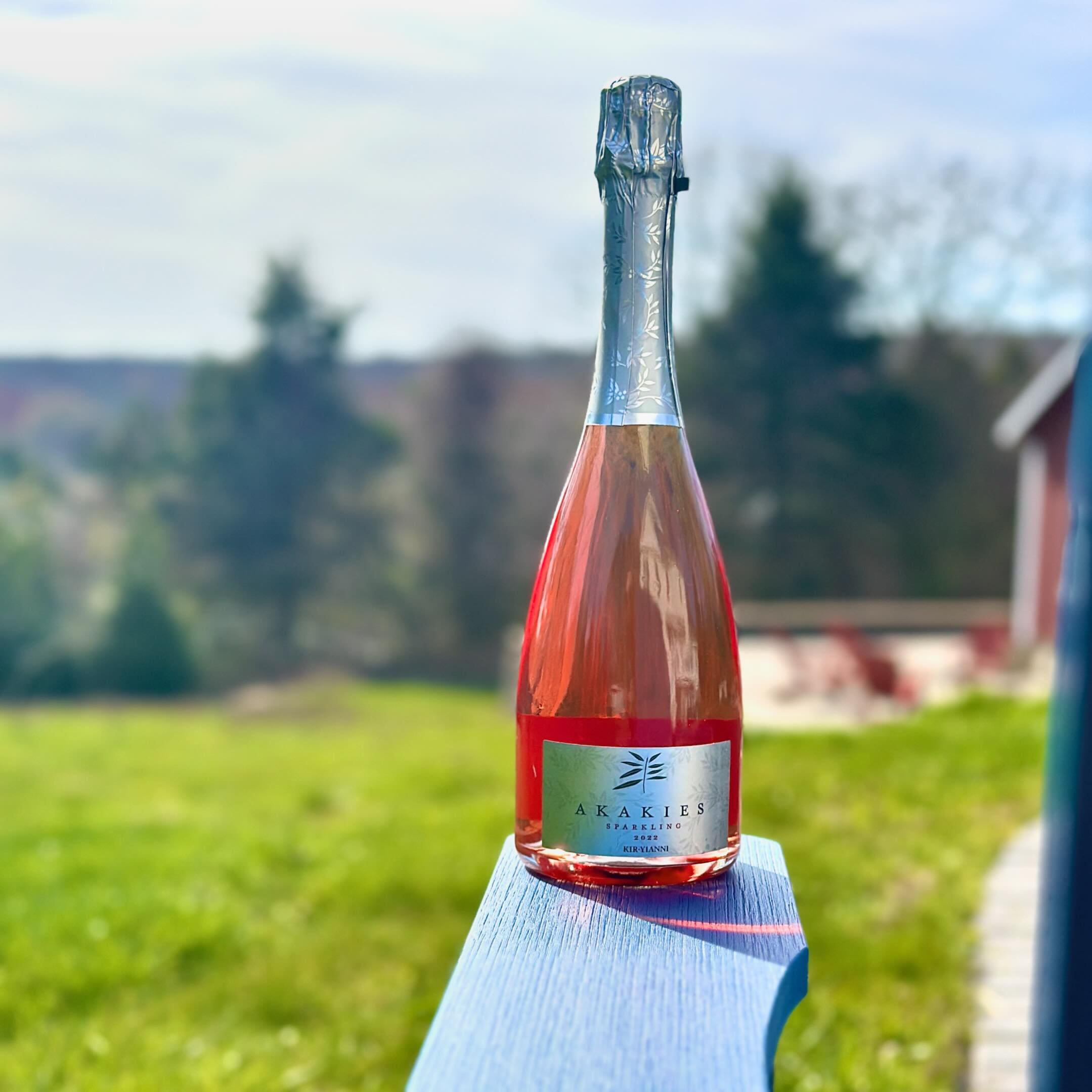 Xinomavro is a big tannic red grape native to 🇬🇷. In Northern Greece (Macedonia) @kiryianni makes a saign&eacute;e style sparkling ros&eacute; utilizing this variety? All this background is important because it&rsquo;s delicious, bold and screams s