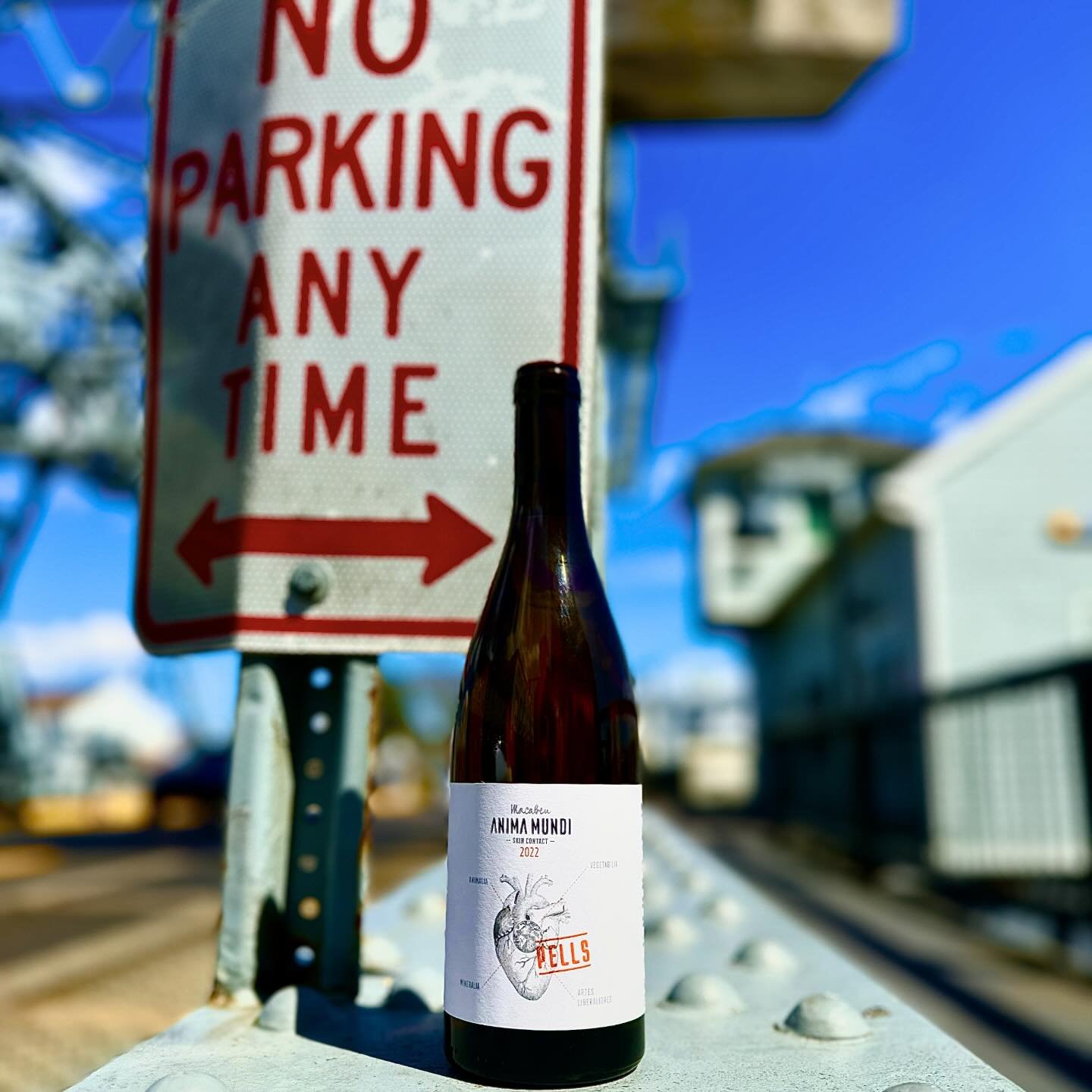 This Sunday we are featuring Barcelona at Next Port: @theportofcallct , so we are giving a preview of one of the wines. @animamundi_celler is one of the projects from Agusti Rocca who is also the winemaker for @atroca_wines . Pells is a 100% Macabeau
