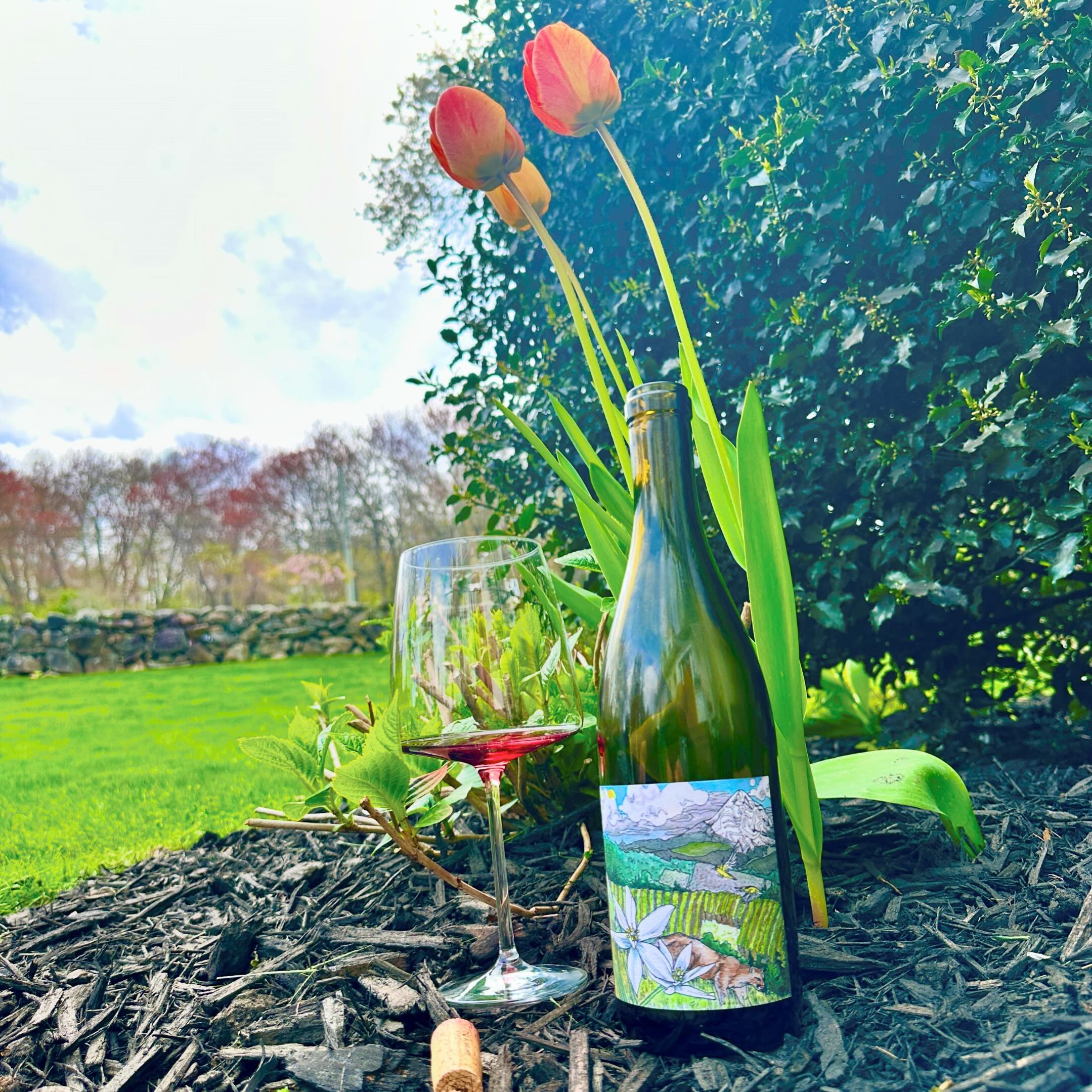 Spring demands fresh wines with fruit that pops. We are always in love with the wines from @kelley_fox_wines but her Mirabai Pinot Noir from Dundee Hills is our absolute favorite. Under 1000 cases of this wine were produced and CT received less than 