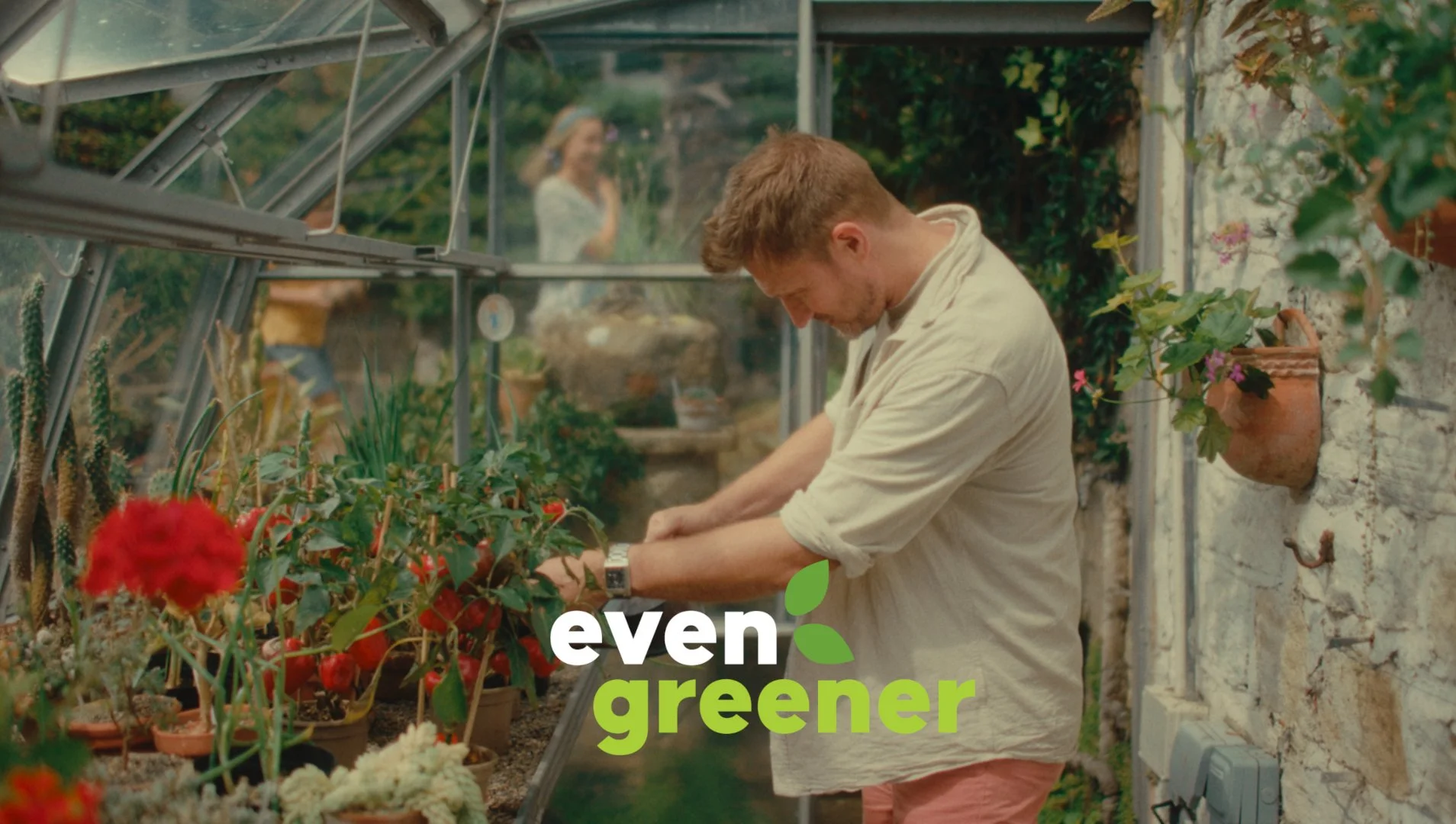 evengreener thumb.jpg