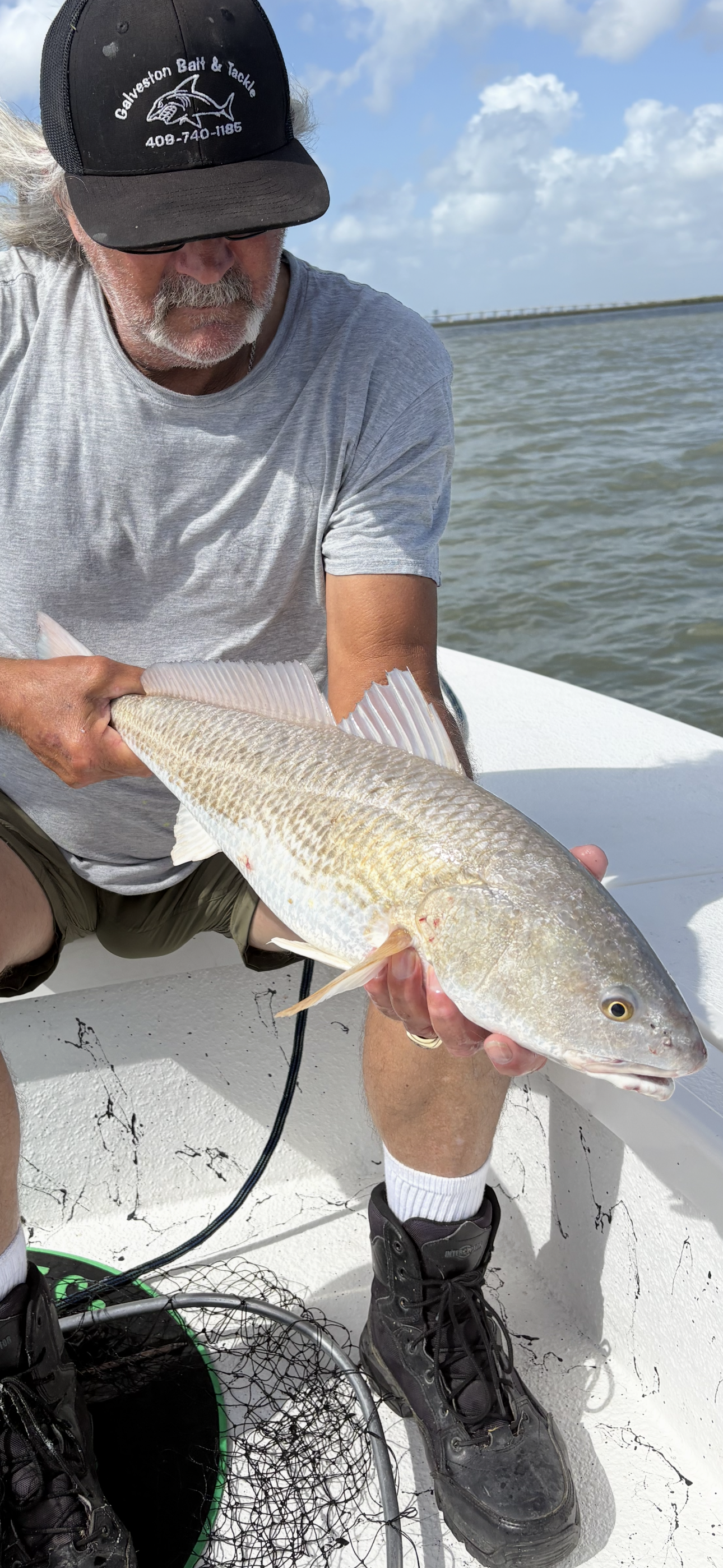 Redfish1.PNG