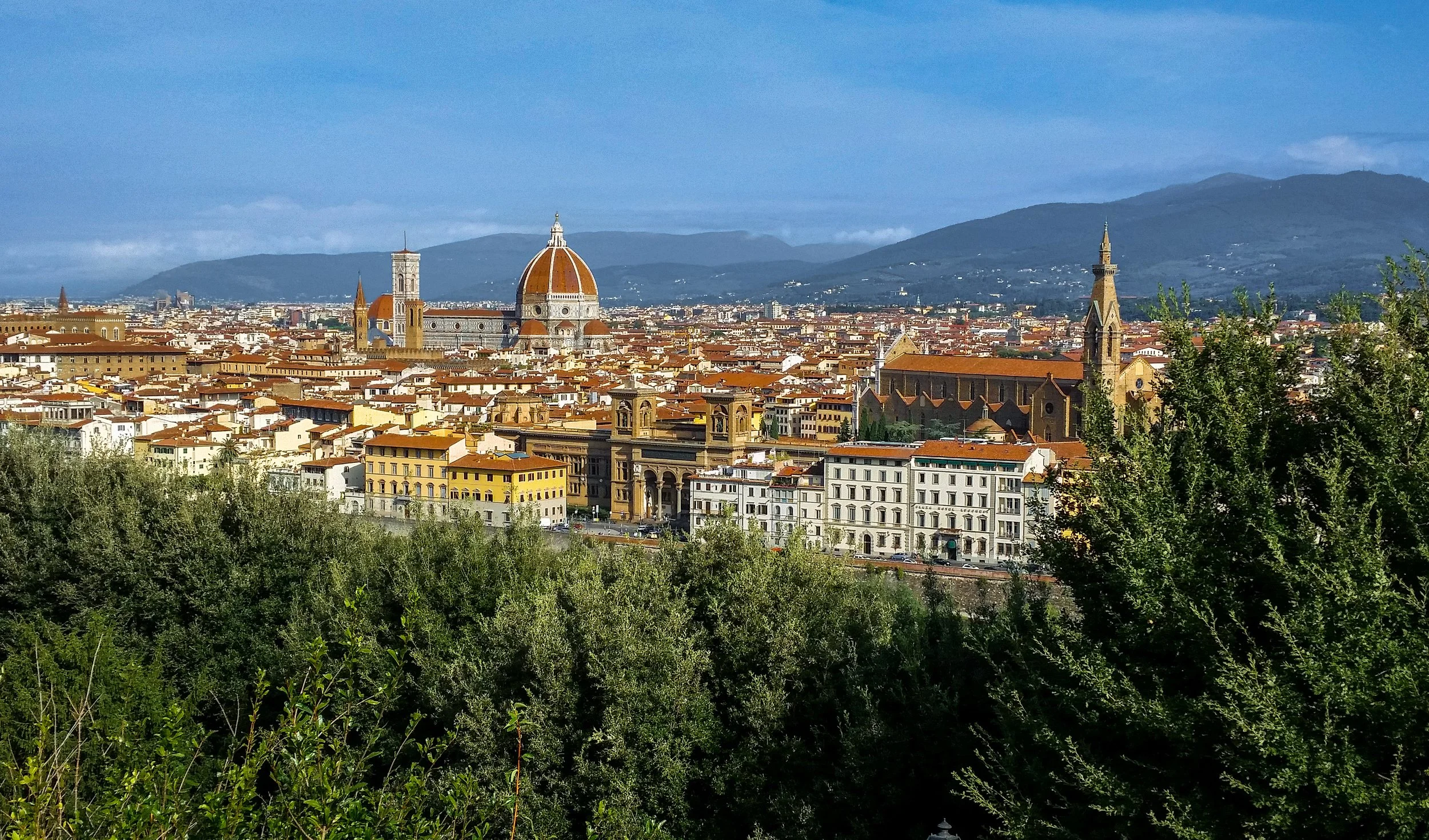 Florence WS 100447.jpg