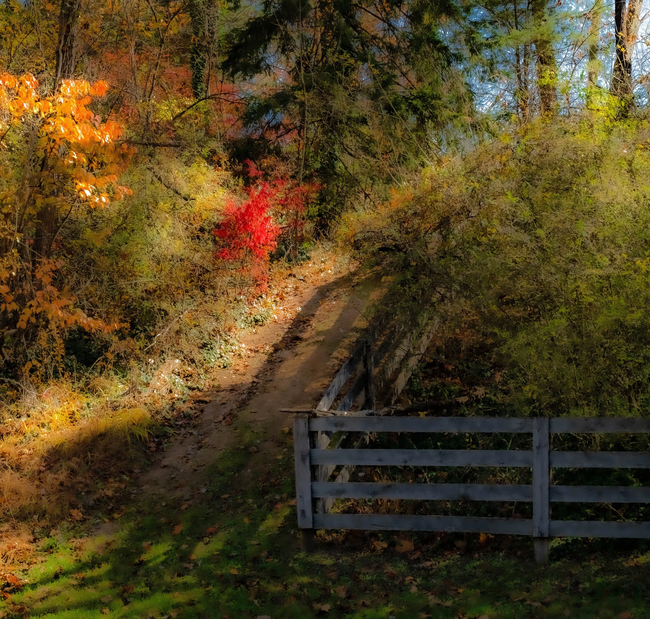 Impressionist path.jpg