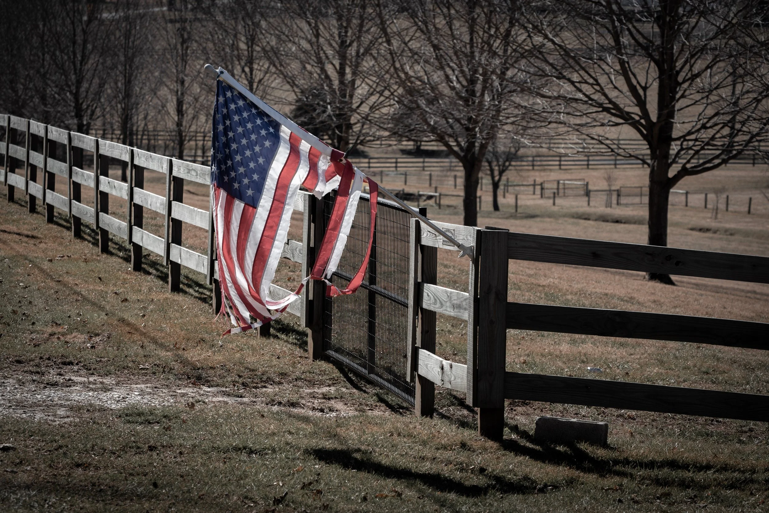 Torn Flag.jpg