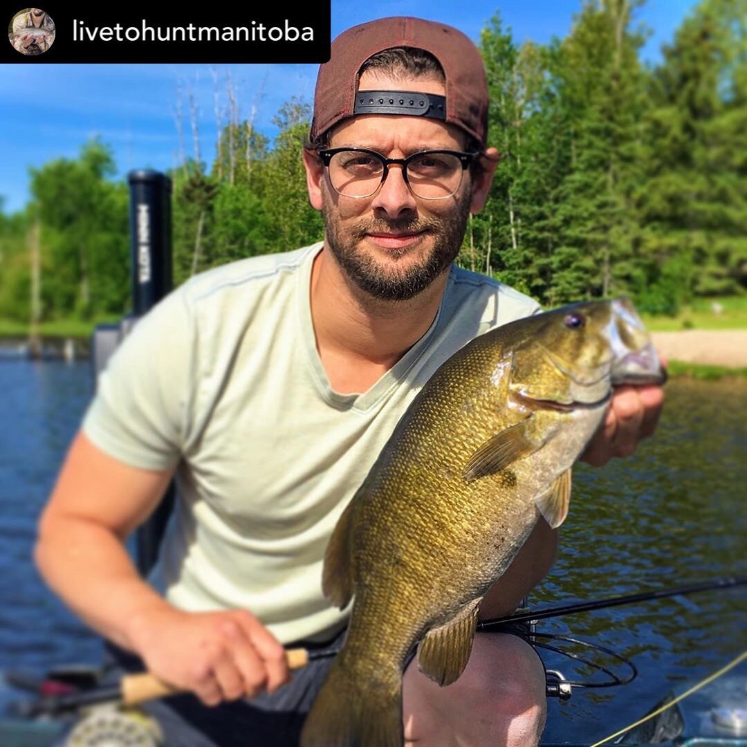 @livetohuntmanitoba caught this on a fly... ON A FLY!!! Not competing our tournament series but still want to get in on the action? Let&rsquo;s see those Donks on IG, Tag your best bass photos with #mbaheadiihead
.
.
.
.
.
.
.
.
.
#mbaheadiihead #hum